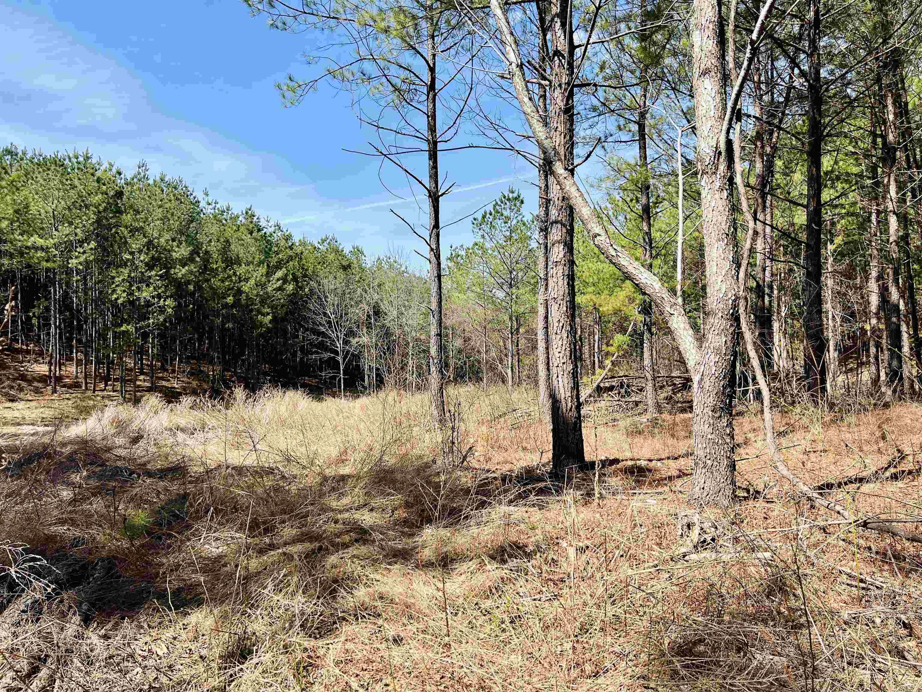 Not in Subdivision - Land