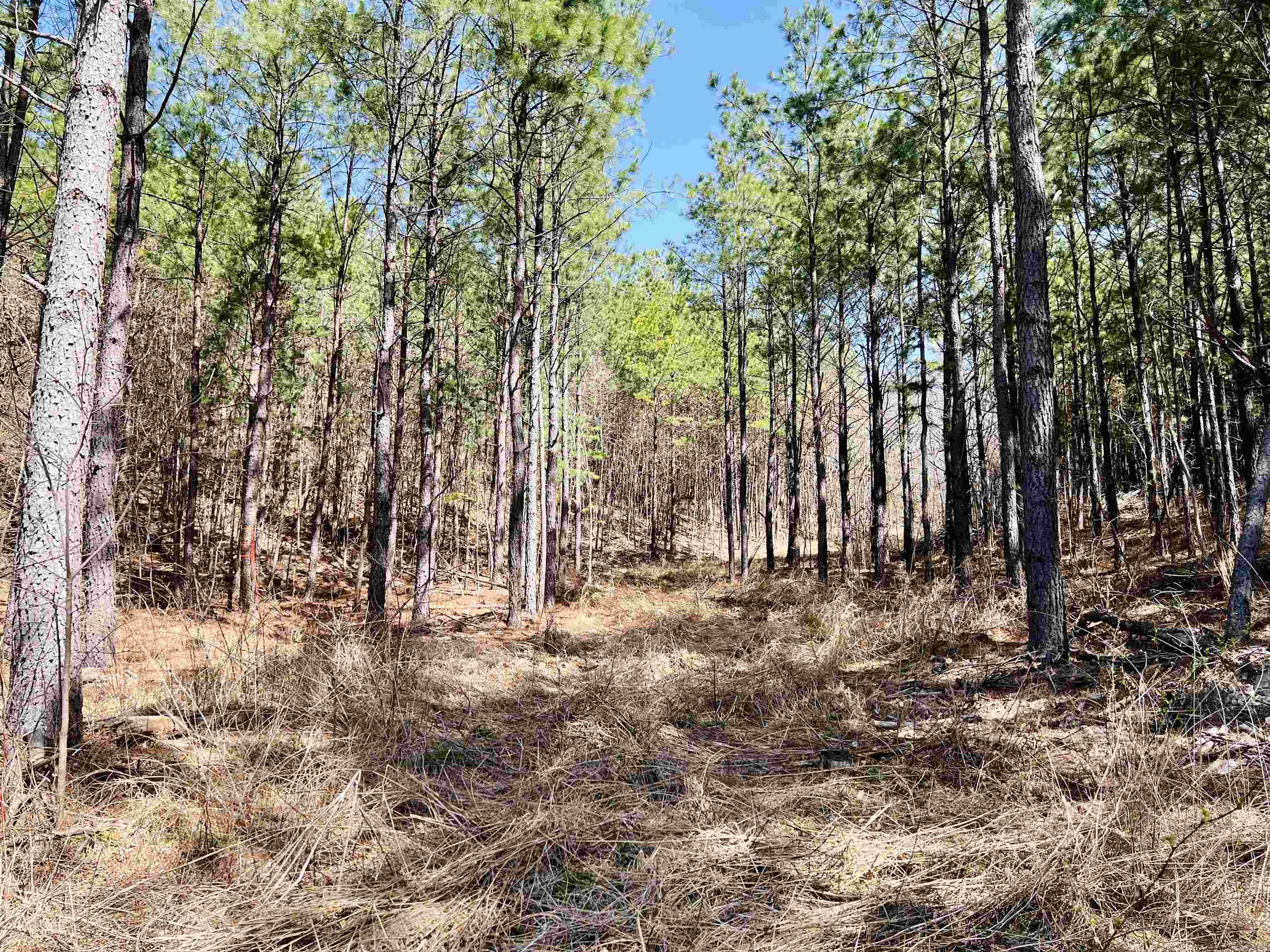 Not in Subdivision - Land