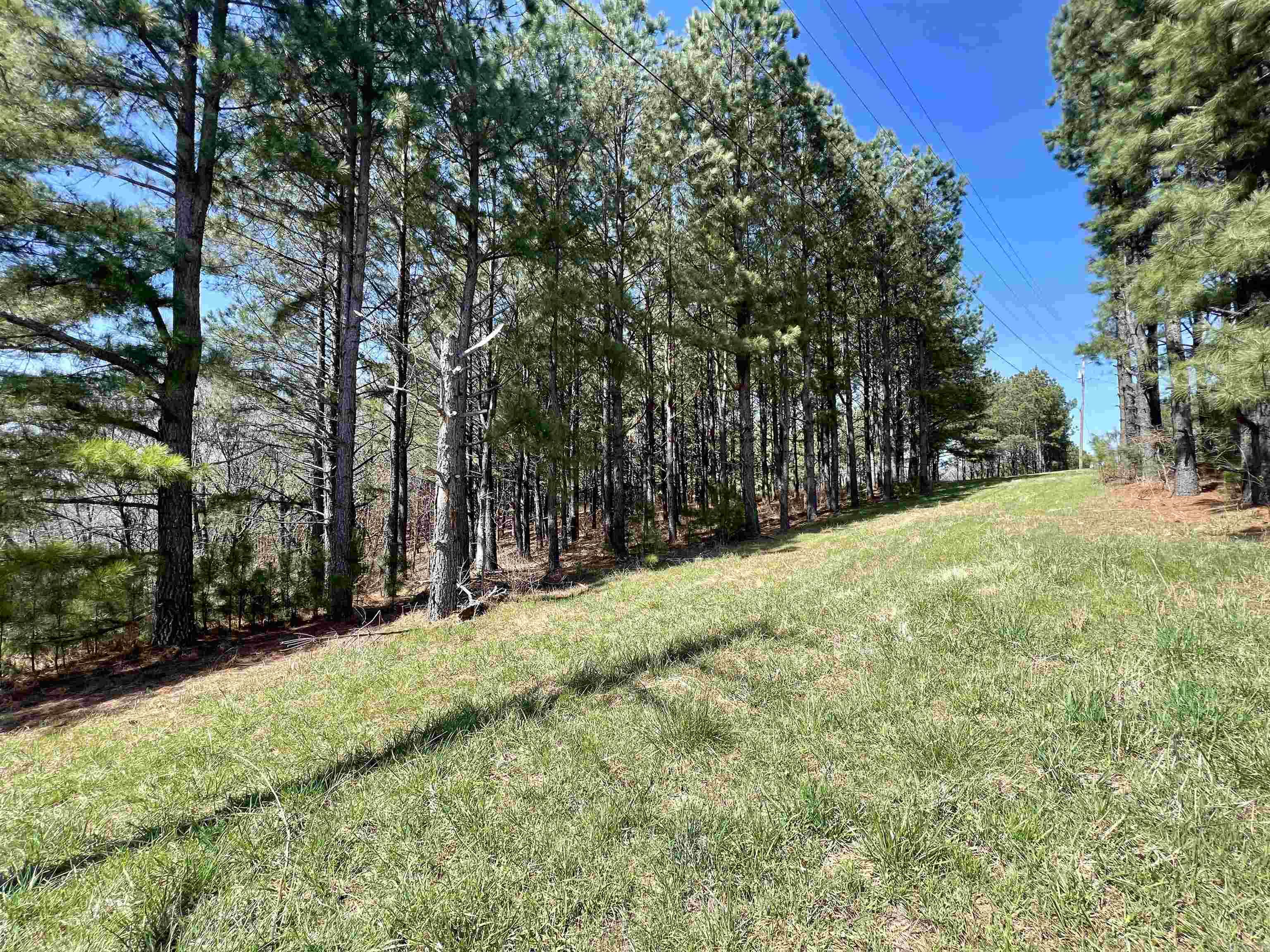 Not in Subdivision - Land