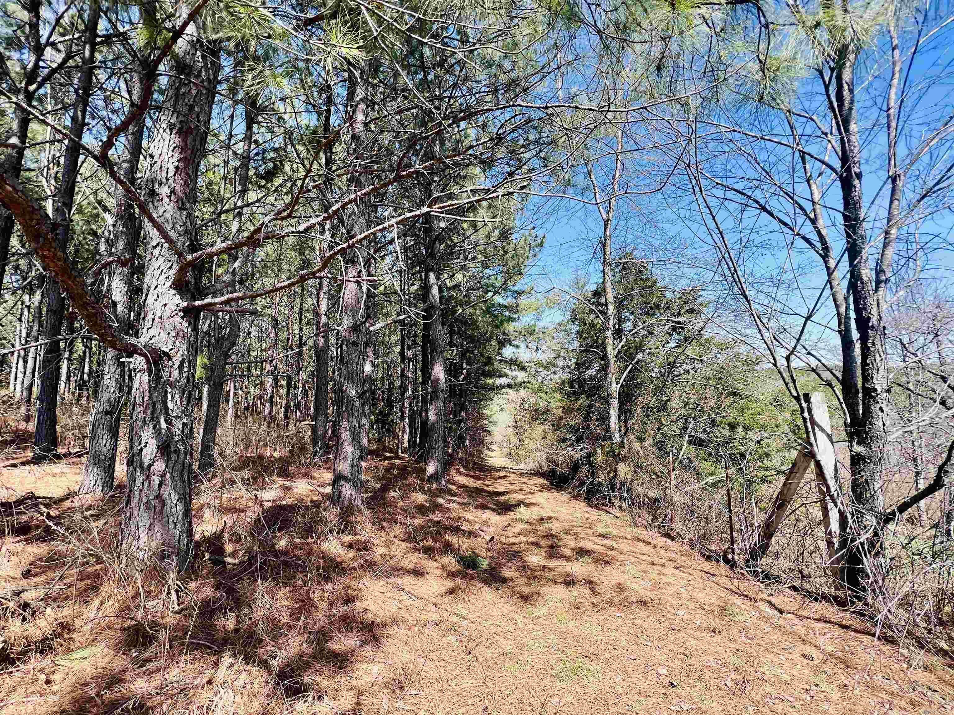 Not in Subdivision - Land