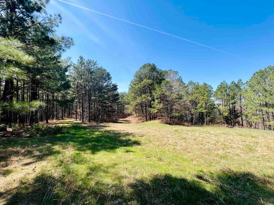 60 acres unrestricted, with electric, fiber internet, and City water available. Located on a paved county road, Within a 5 minute drive of the buffalo river.  This property has trails throughout and big views looking South and West.  The opportunities are endless on this one!