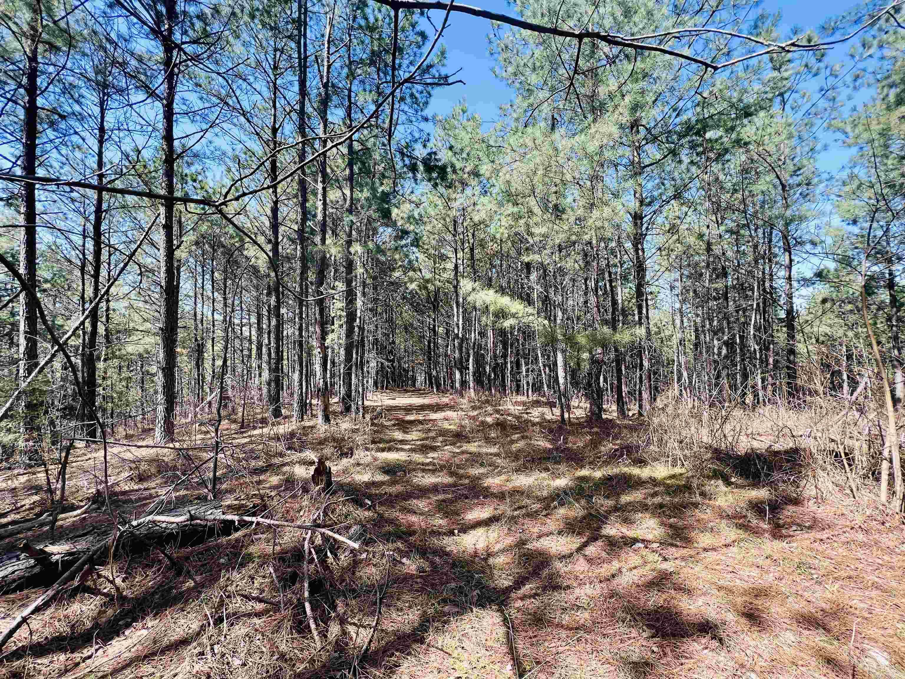 Not in Subdivision - Land