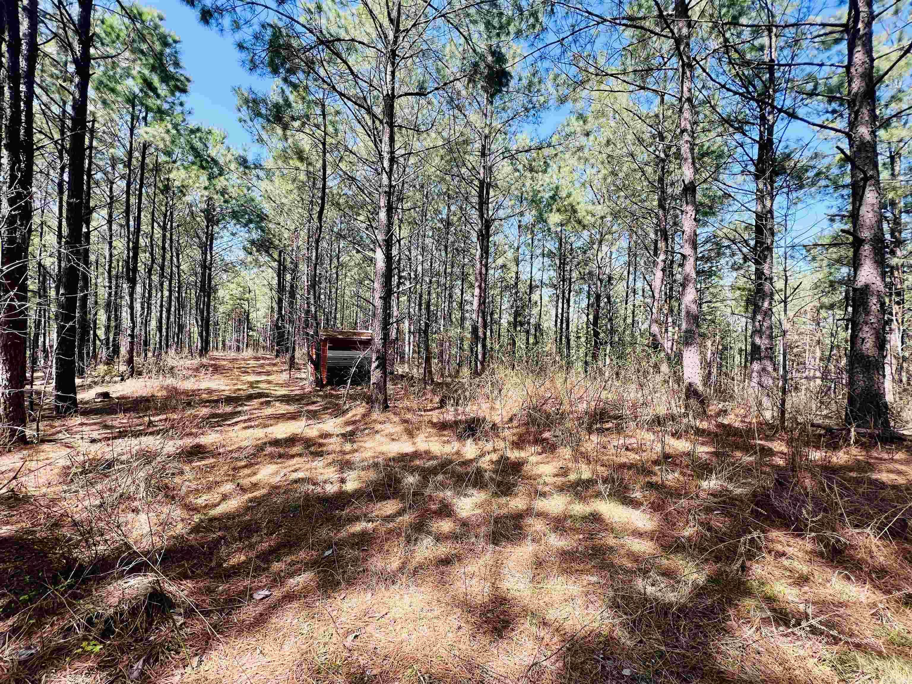 Not in Subdivision - Land