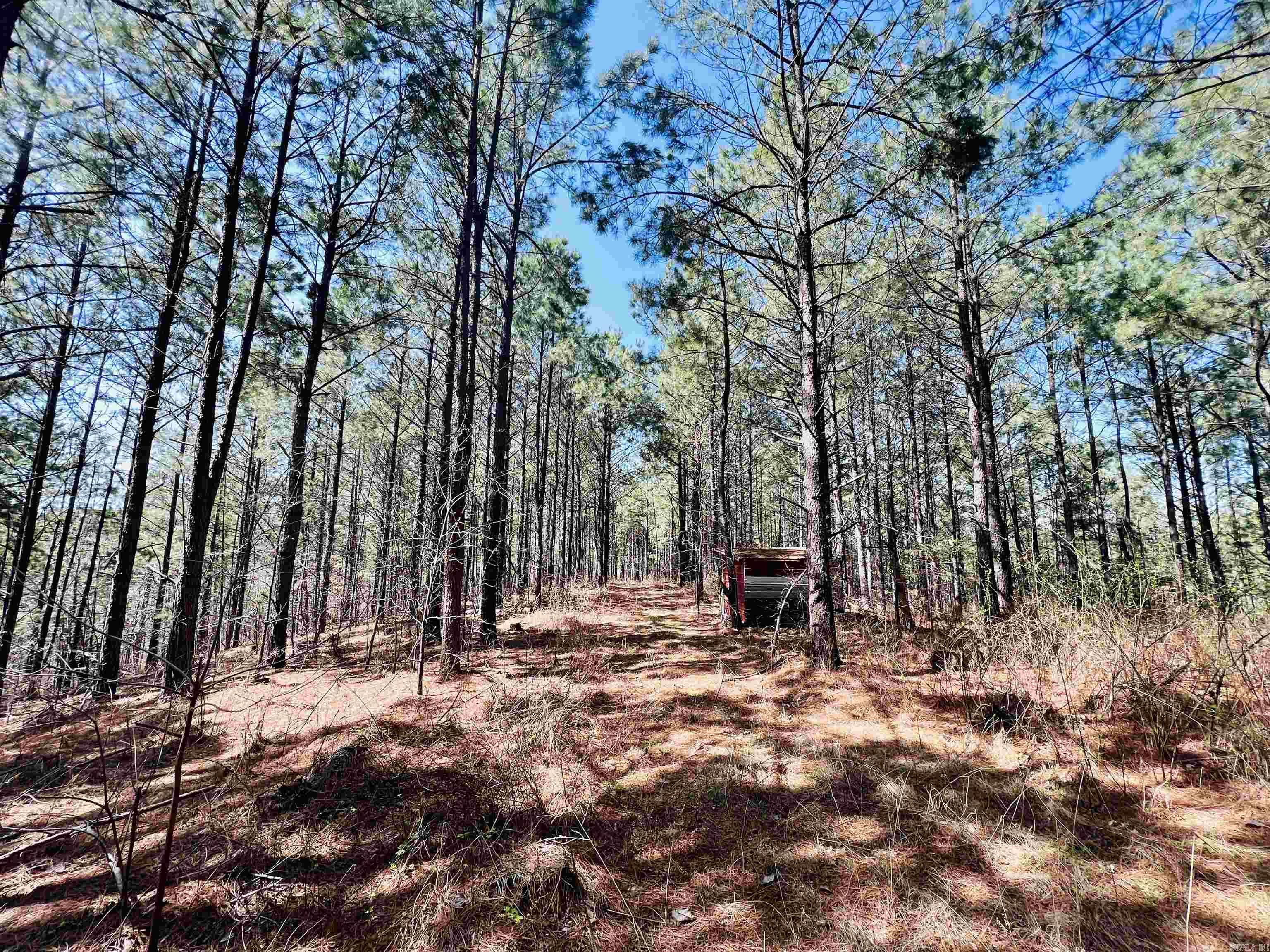 Not in Subdivision - Land