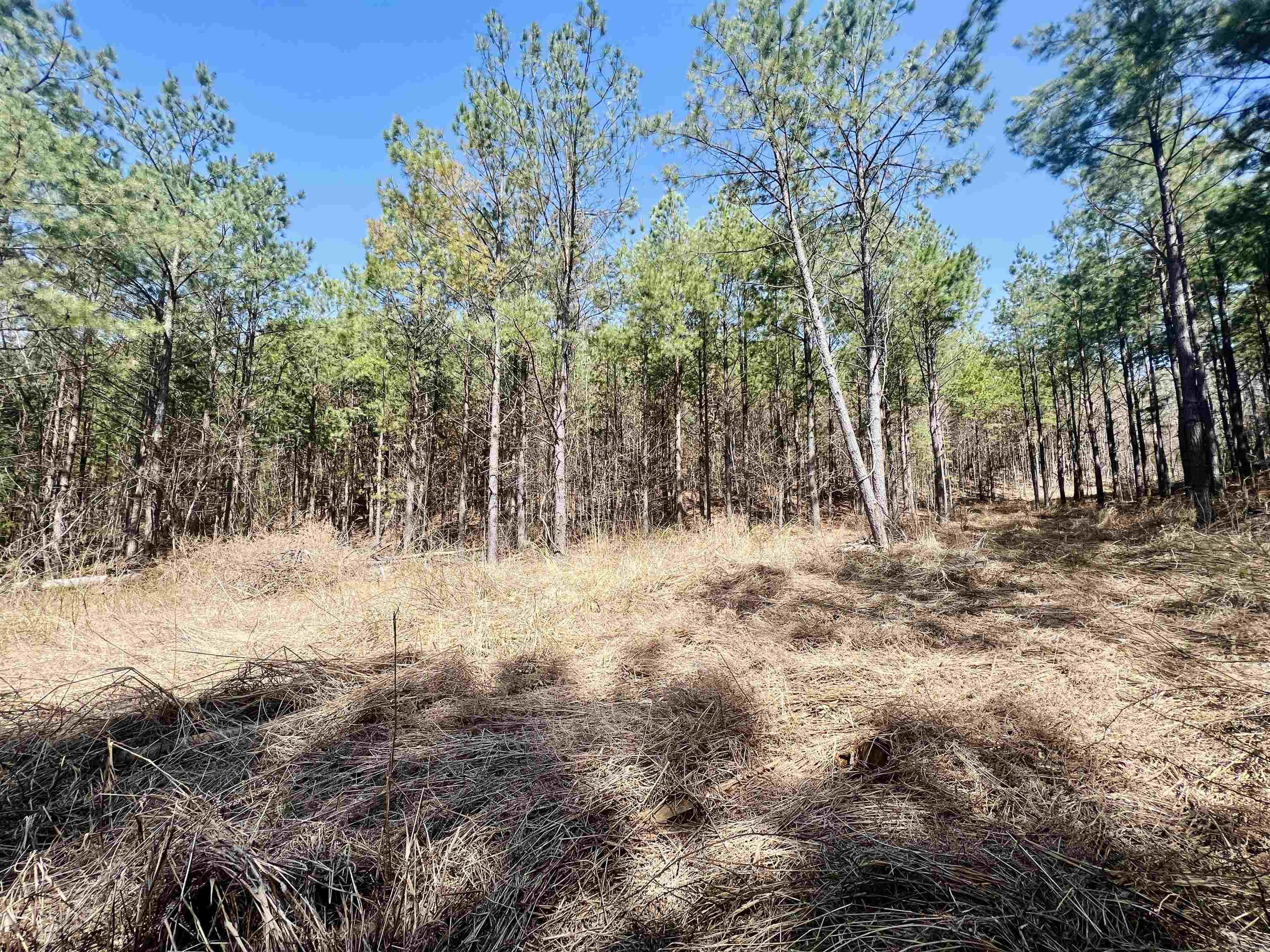 Not in Subdivision - Land