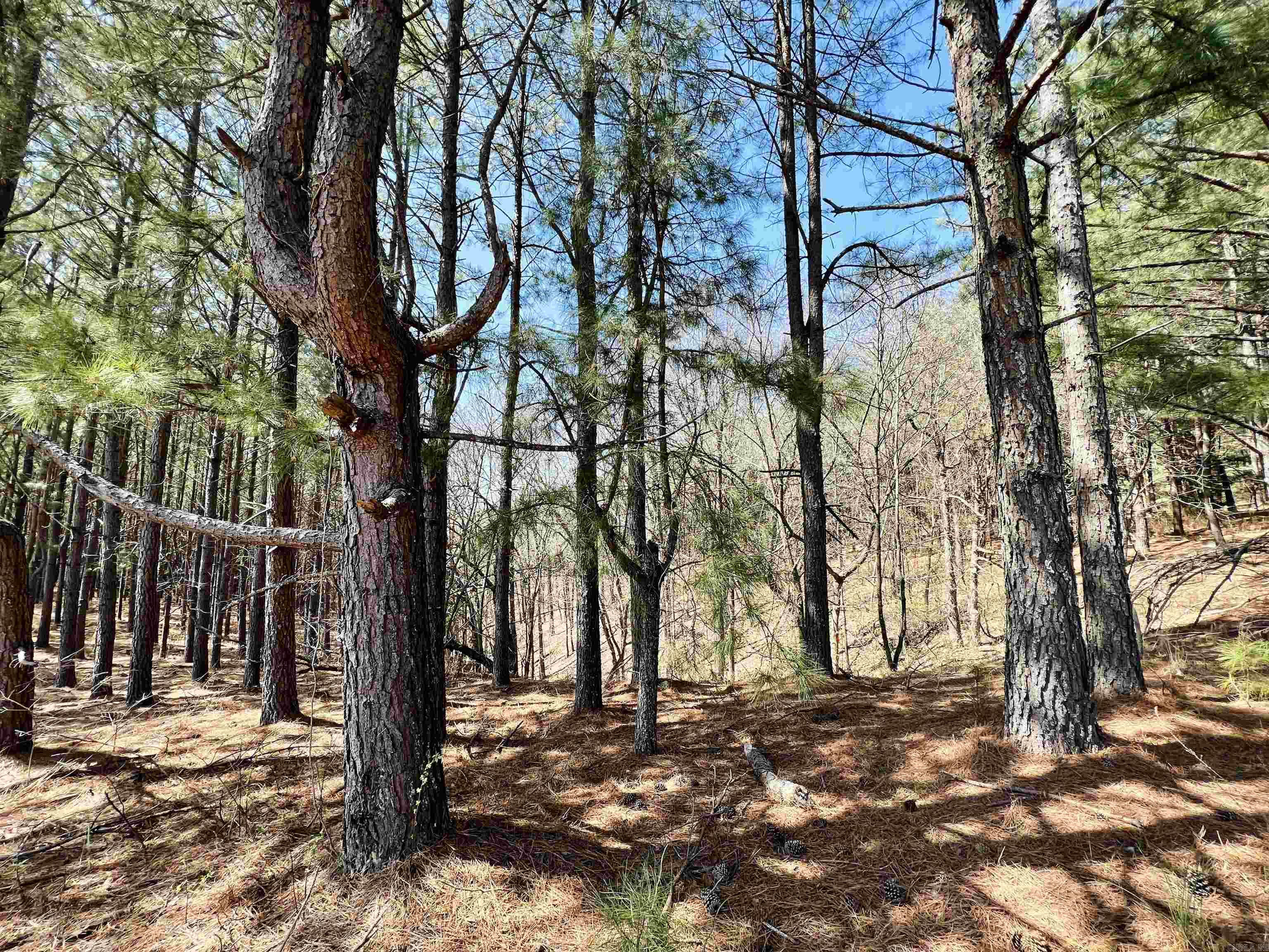 Not in Subdivision - Land