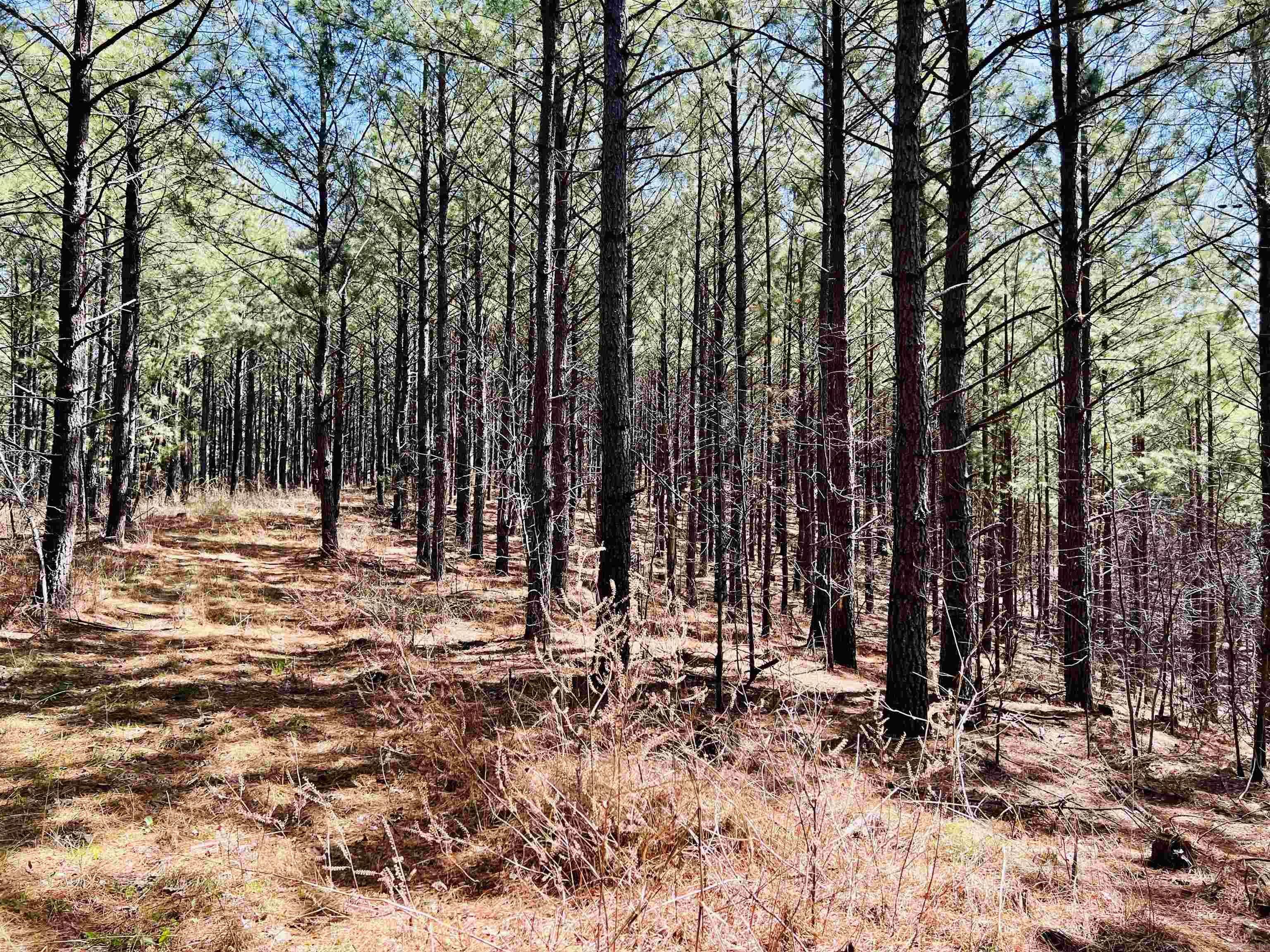 Not in Subdivision - Land