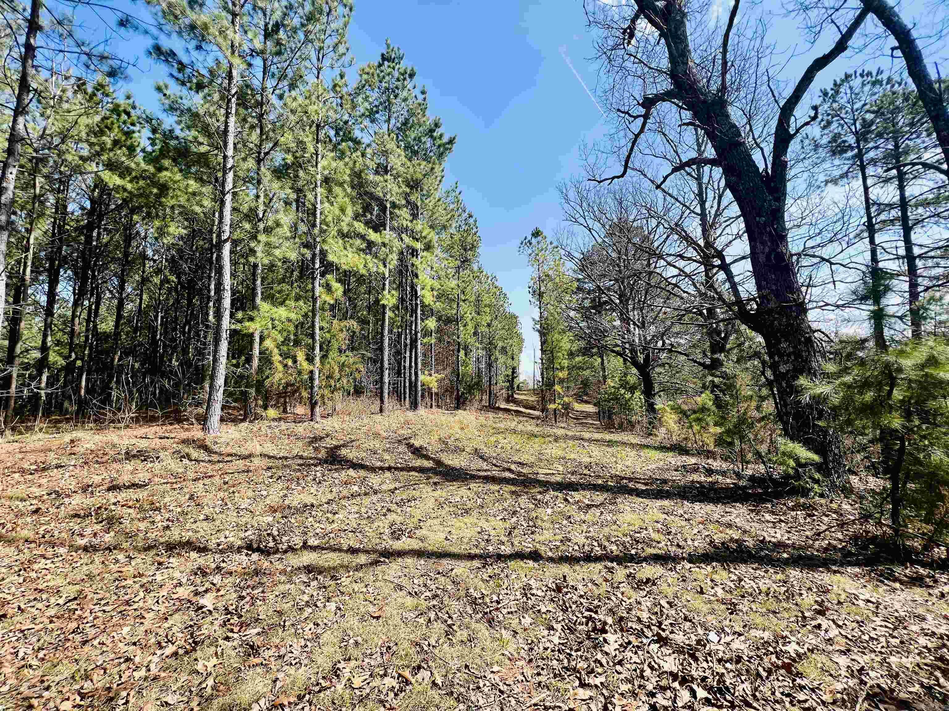 Not in Subdivision - Land