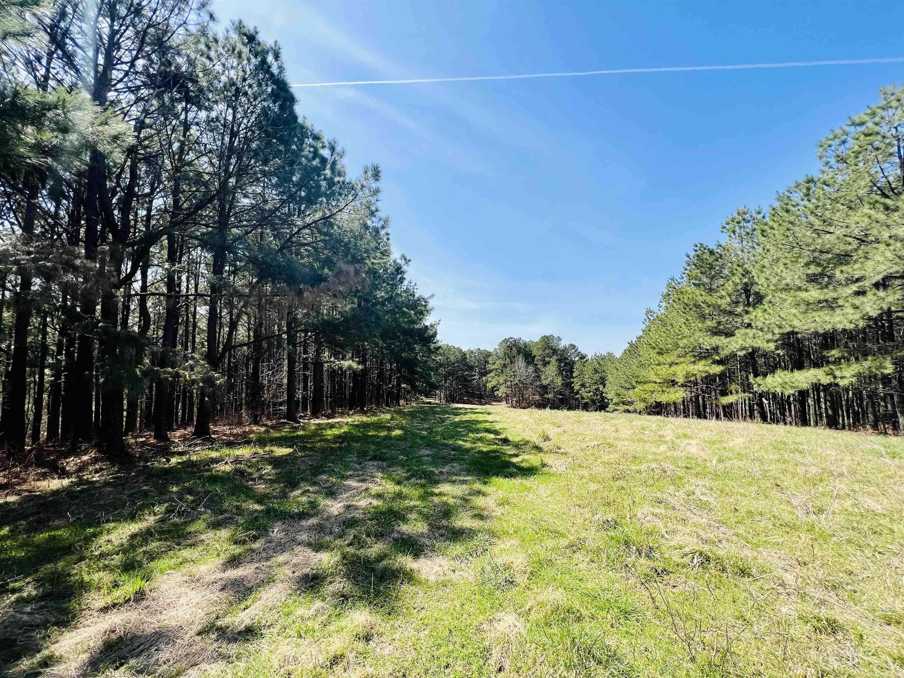 Not in Subdivision - Land