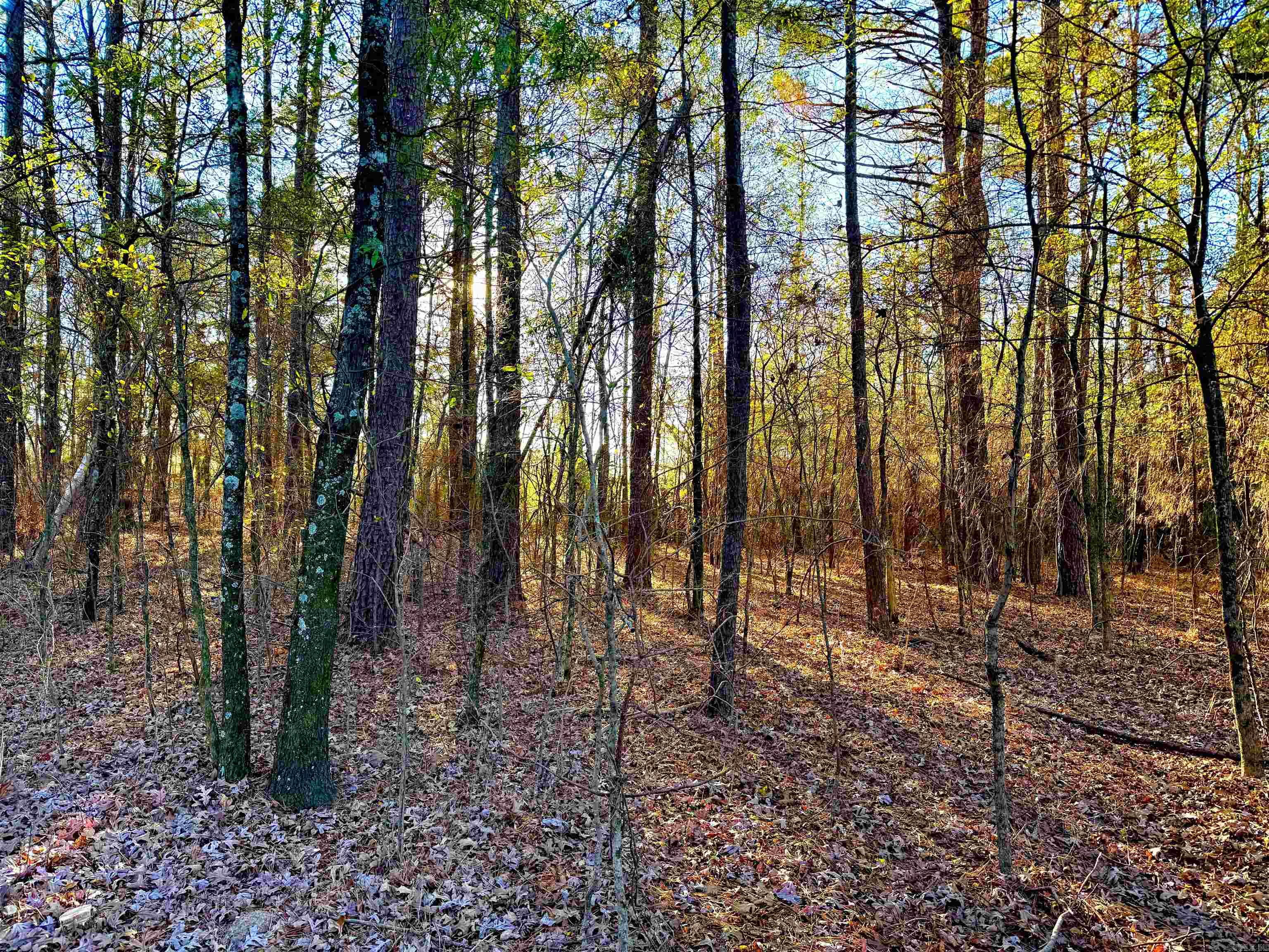 Not in Subdivision - Land