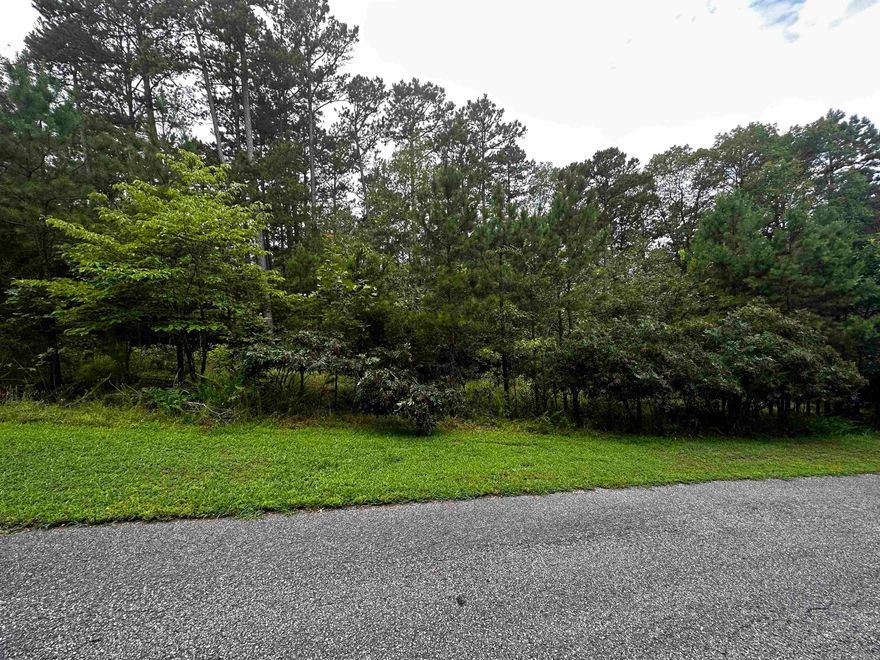 Great Neighborhood to build your dream home at the lake. Undergrounds utilities already in place!  Mineral rights do not convey.