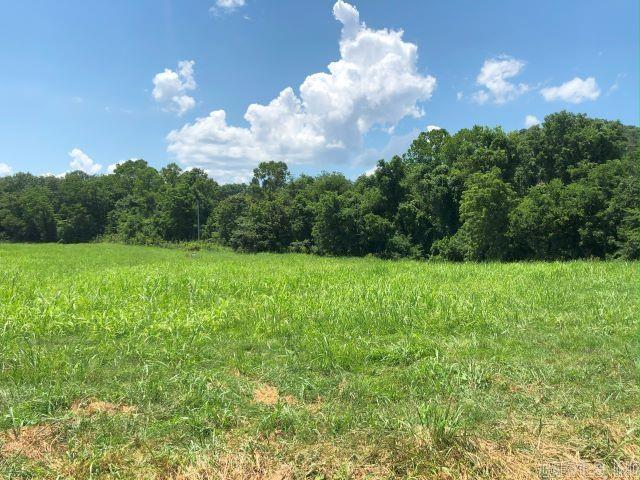 4-acre m/l lot ready for you to build your dream home! Outdoorsman's Paradise! White river frontage property with great views of the Mountains. Completely unrestricted river property, with a large Year round creek. Located less than a mile down the county road from the National Forest! You can ride your 4-wheeler to the Forest and hunt all morning, then hookup the boat and Launch at private subdivision boat ramp and fish all evening! All of this located less than 15 minutes from Town. w/ ramp.