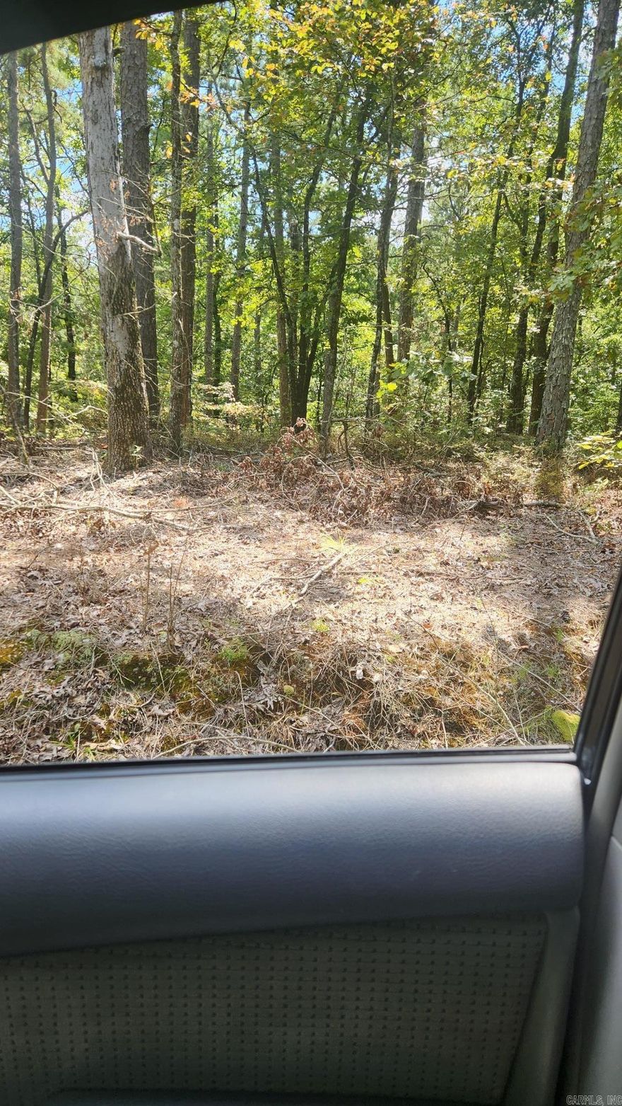 This is a wooded lot, in the county, but close to town. No building restrictions. Only utility is a power pole on street Located in Fountain Lake School District. Lot slopes down.