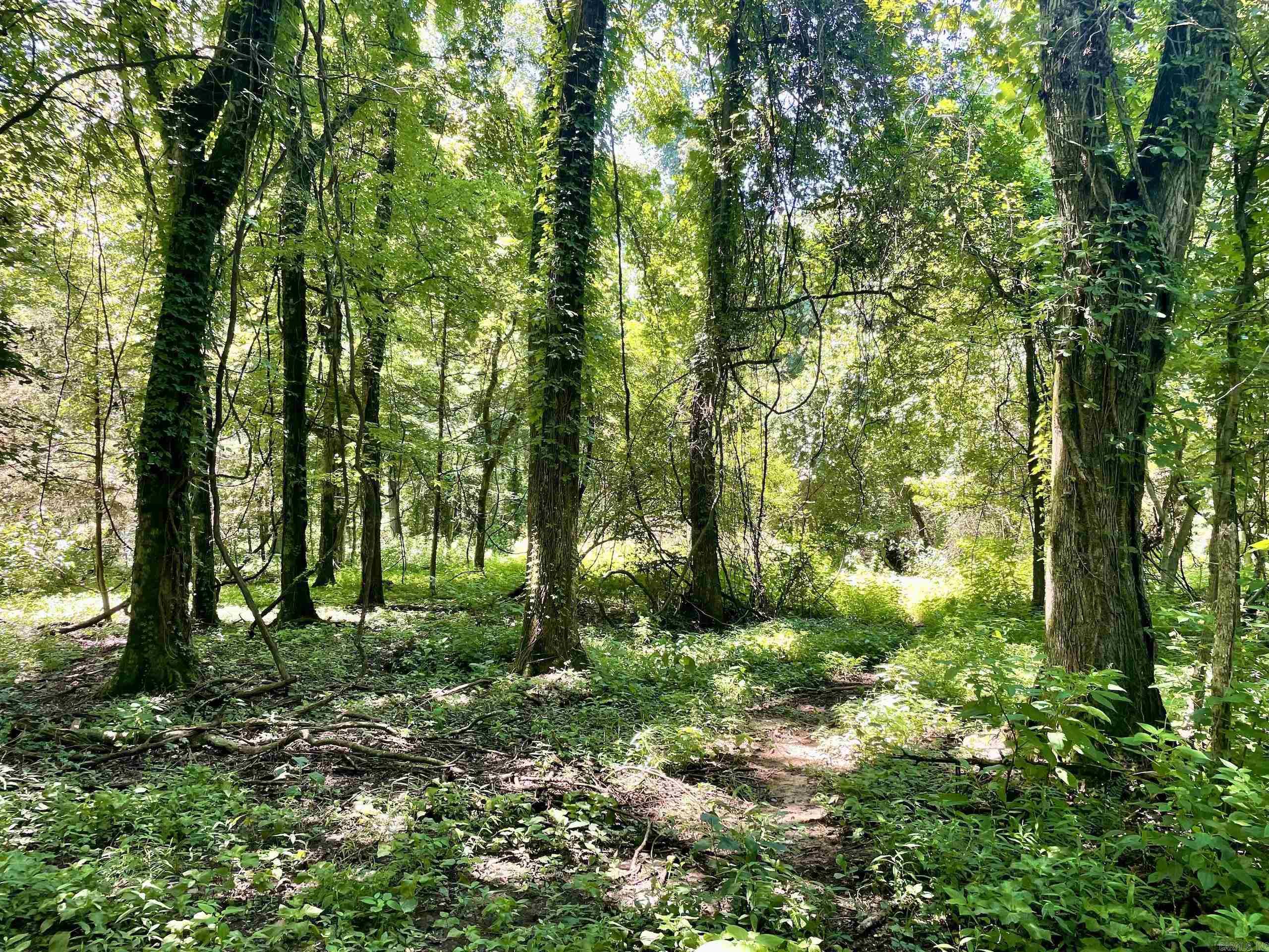 Not in Subdivision - Land