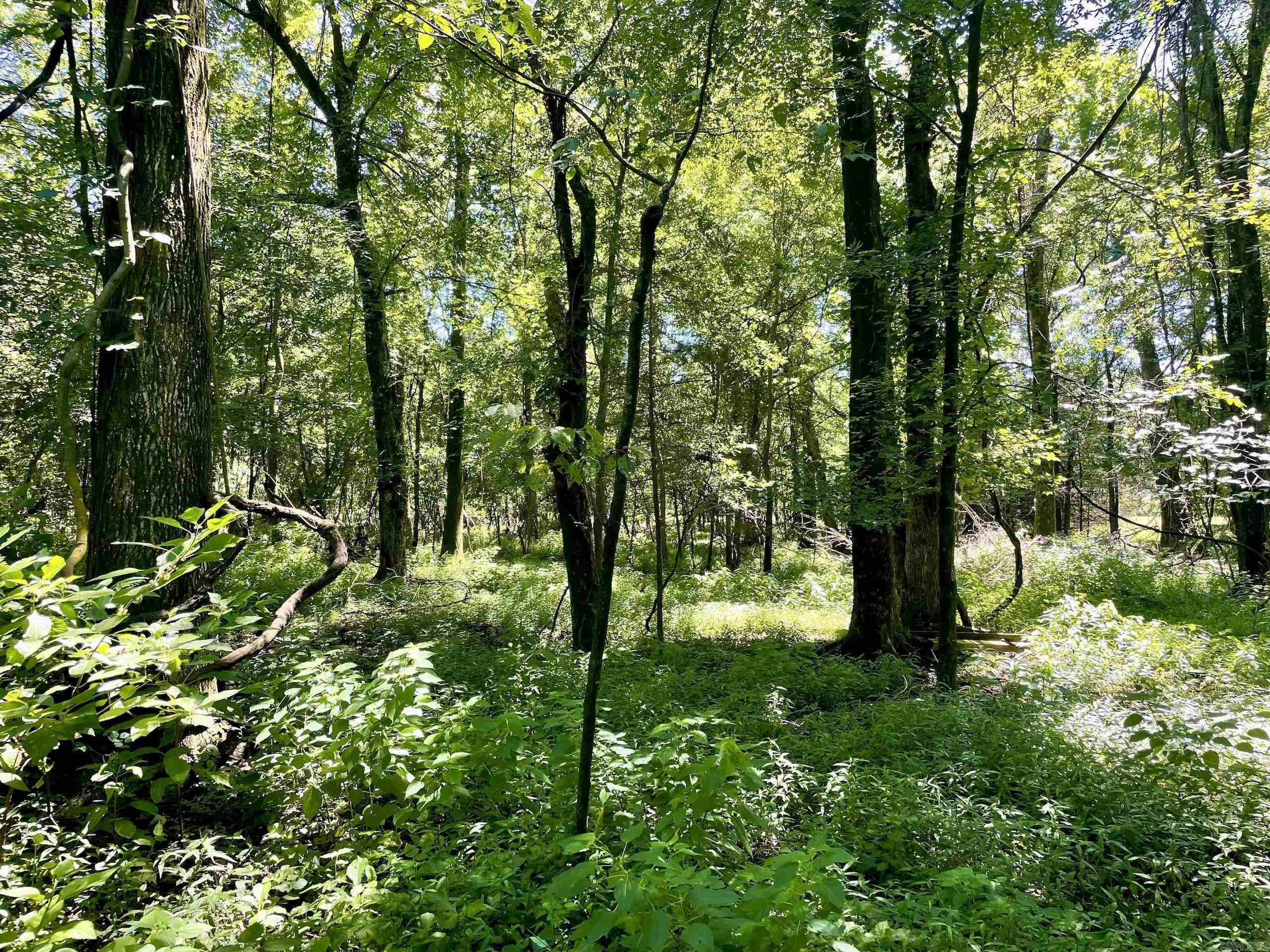 Not in Subdivision - Land