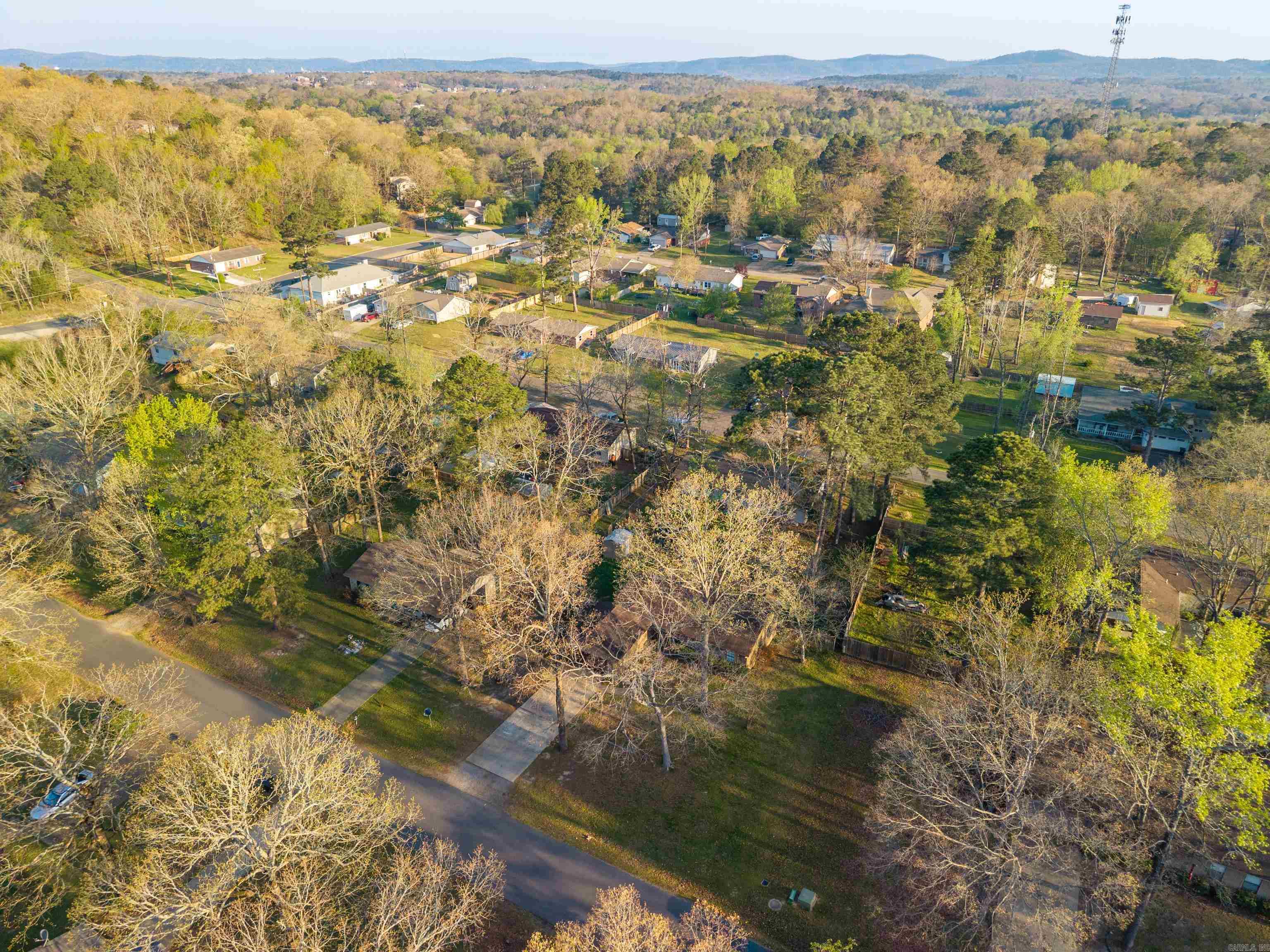 Dark Forest - Residential