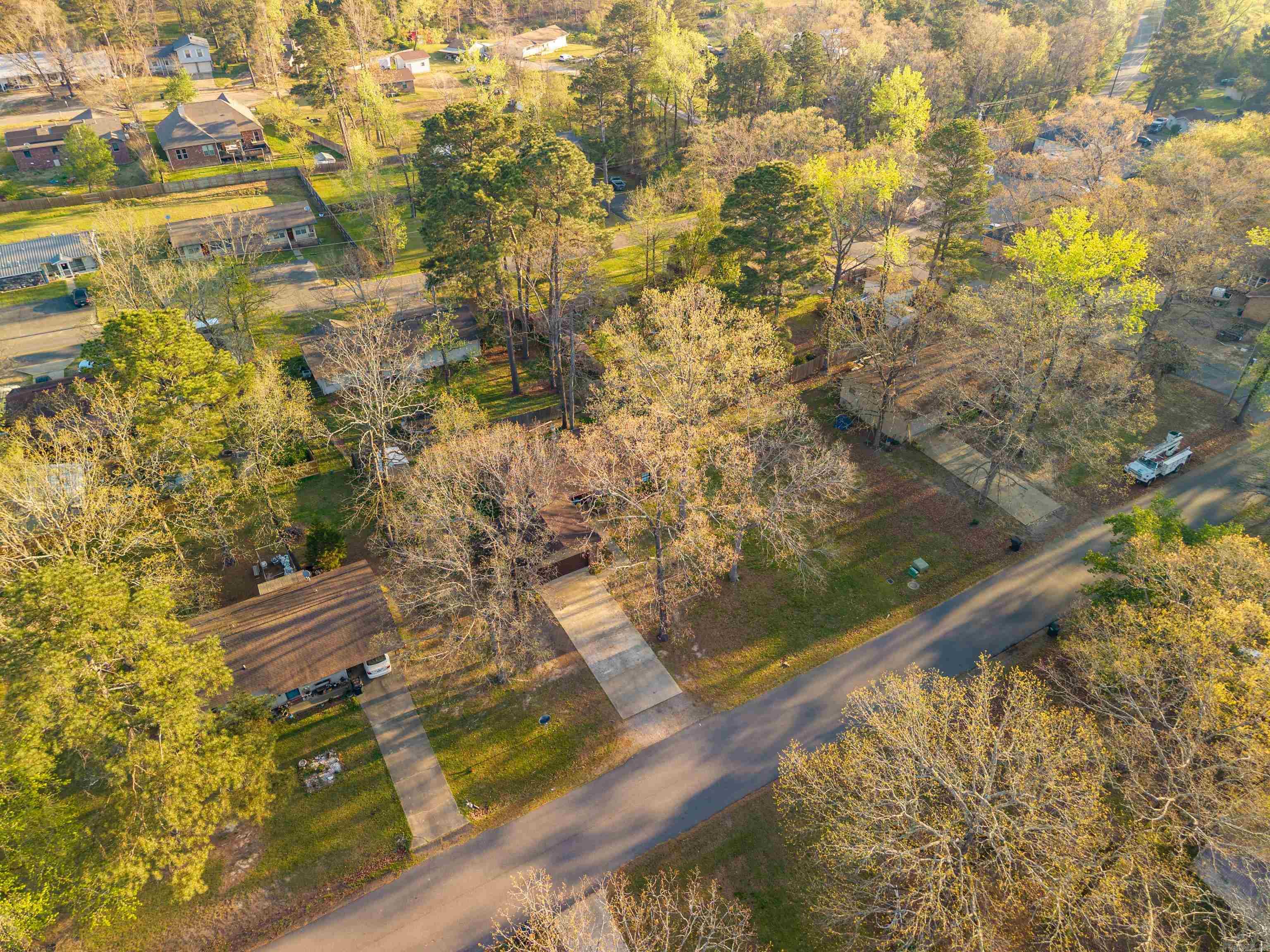 Dark Forest - Residential
