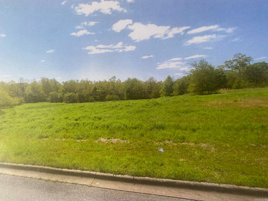 Excellent Commercial property at the East end of McCain Blvd. in Pulaski County, Ar. This property for Retail, Hotel and locations along with Commercial Distribution and Office Warehouse possibilities.  Sewer, water and electricity and gas are available to the site and the Seller will subdivide the property for purchaser's use.  Located in Pulaski County outside the NLR City Limits, this property is without zoning classifications.