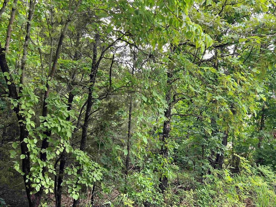 ACREAGE/HIGHWAY FRONTAGE  5 acres all woodland lots of various oak trees should be prime hunting. Around 480 feet U.S. Highway frontage plus frontage on a non-maintained platted road. Spring River is accessible at various points near by. Might be the property for your future. Priced @ $22,500.