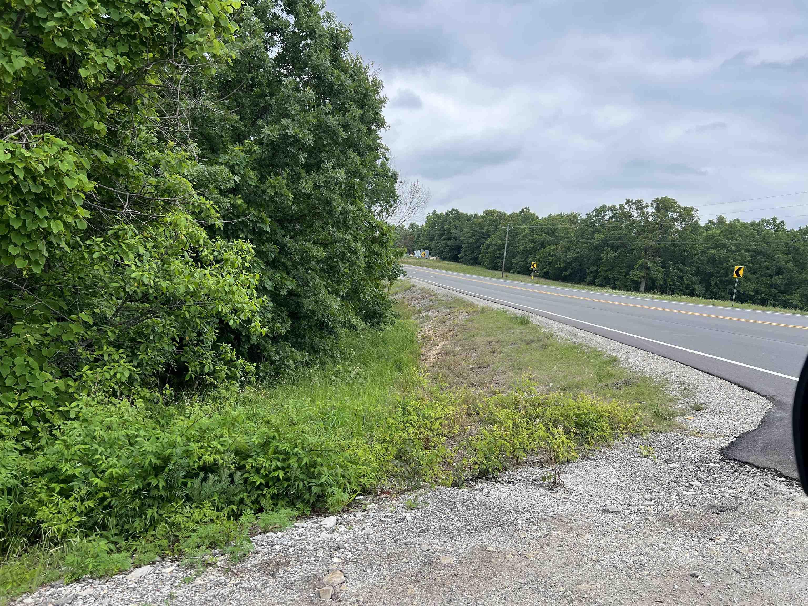 MAMMOTH SPRING ACRES - Land