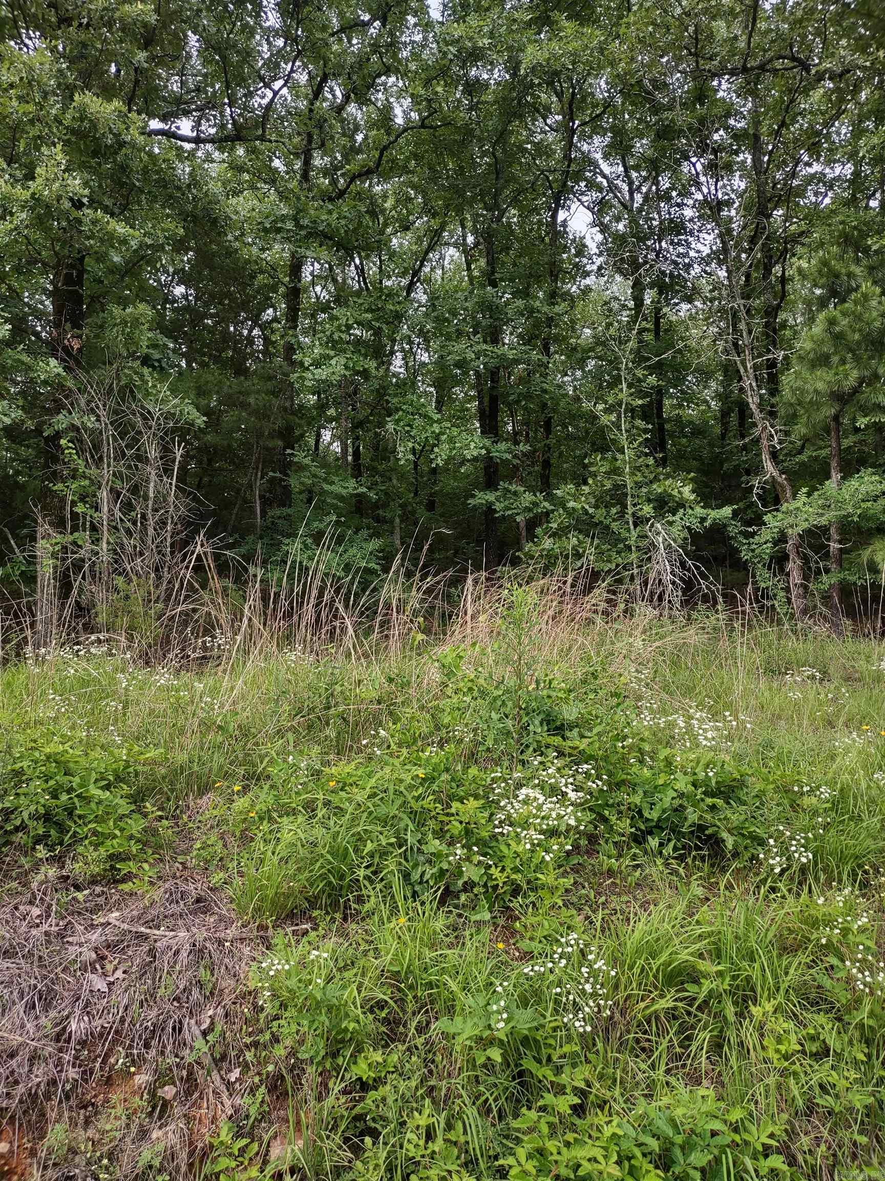 NICE LOT SLOPED TO THE SOUTH OVERLOOKING JEWEL LAKE. ACROSS STREET FROM LAKE, BUT ENJOY FULL BENEFITS OF LAKE, CAMPFIRES, FISHING, ETC. SEE ATTACHED SURVEY, COVENANTS AND RESTRICTIONS AND PLAT.
