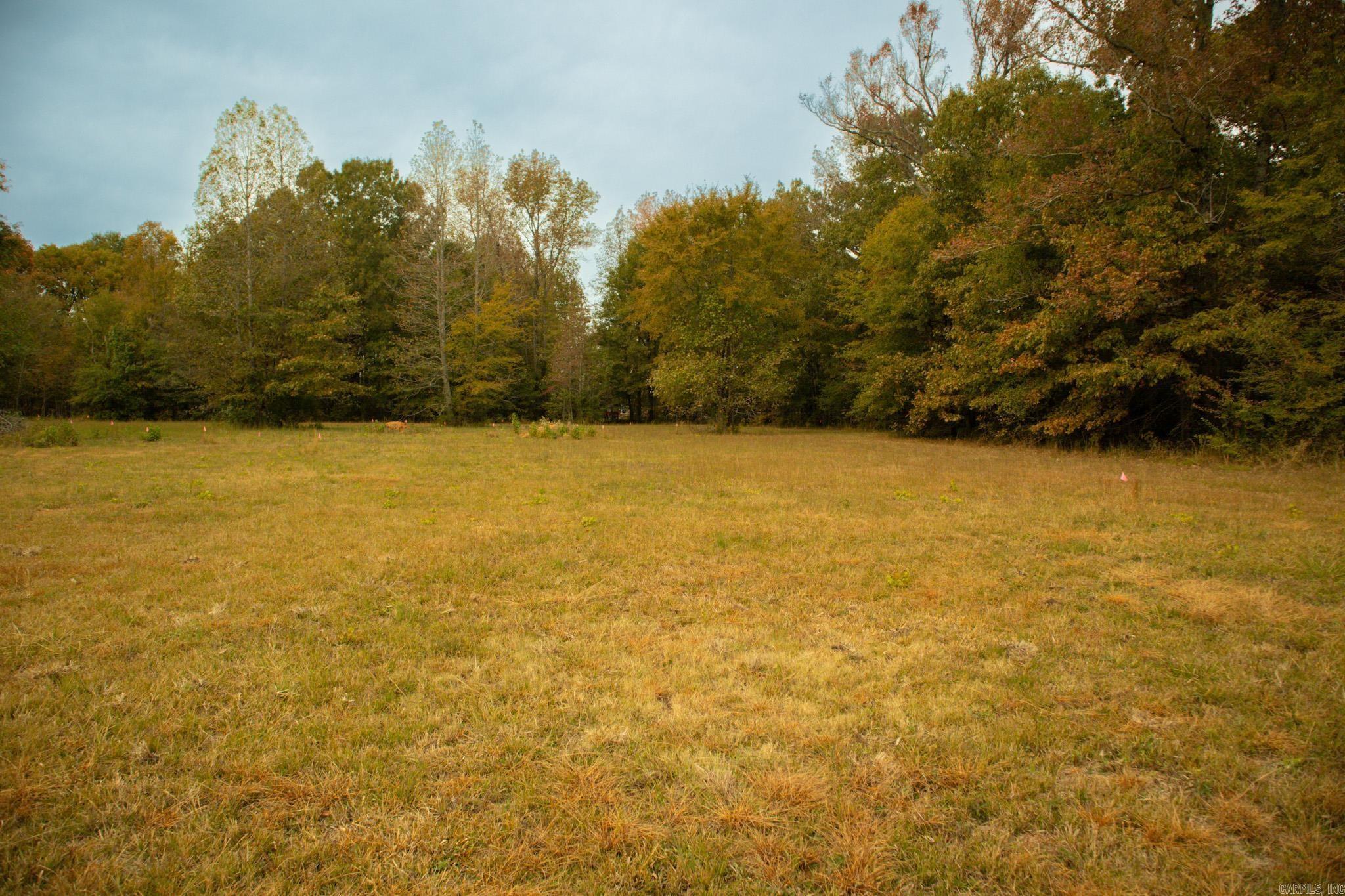 Remington Place - Land