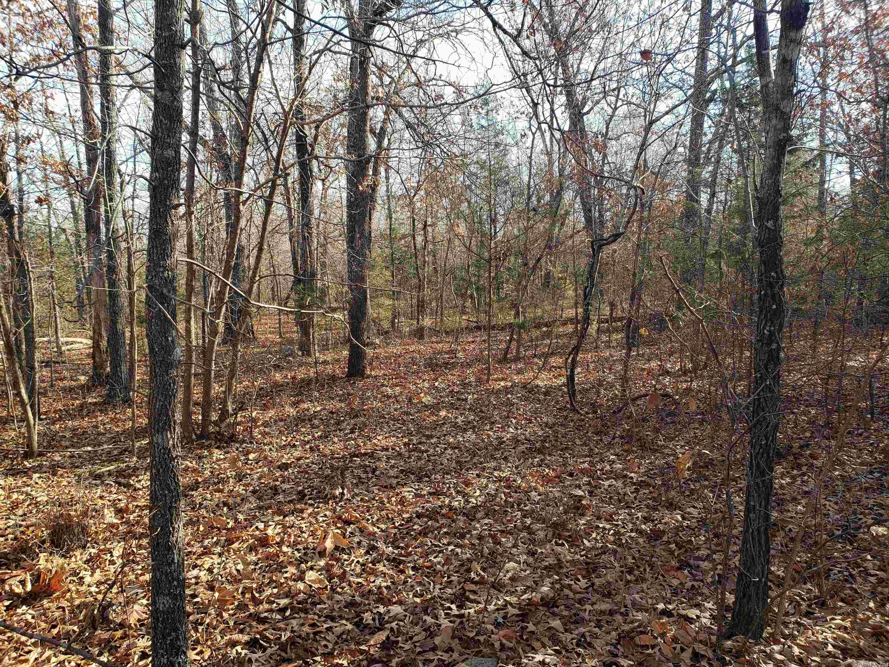 Two very level lots side by side give you over 3/4's of an acre of somewhat secluded property. Secluded but close to the front of the village to get out to the four lane in minutes for shopping, dining and entertainment. Come check out the best place to build your new home. Enjoy the shade of large hardwoods and the smell of the cedars. Cherokee Village has Two 18-hole golf courses and 7 wonderful lakes to enjoy your summers on. Don't forget the beautiful Southfork River runs through the Village as well.