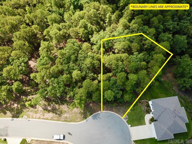 Welcome to the perfect opportunity to build your dream home in the heart of Maumelle! This enchanting 0.35-acre lot offers breathtaking valley views and a spectacular sight of the majestic Pinnacle Mountain. Nestled amidst nature, the property boasts a serene ambiance with a green space behind it, ensuring privacy and tranquility. Imagine waking up to nature's stunning beauty every day and enjoying surrounding greenery of your new home. With a buildable 2500 square foot floor plan on file, courtesy of Hines Homes, your vision for a comfortable and stylish dwelling can effortlessly come to life. Whether you envision a modern oasis or a charming retreat, this lot provides the canvas for your imagination to flourish. Located in the heart of Maumelle, you'll relish the convenience of living close to city amenities, recreational facilities, and excellent schools. Embrace the opportunity to create the home you've always envisioned in this idyllic setting with captivating views and ample greenery. Don't miss out on this rare chance to own a piece of paradise in Maumelle!