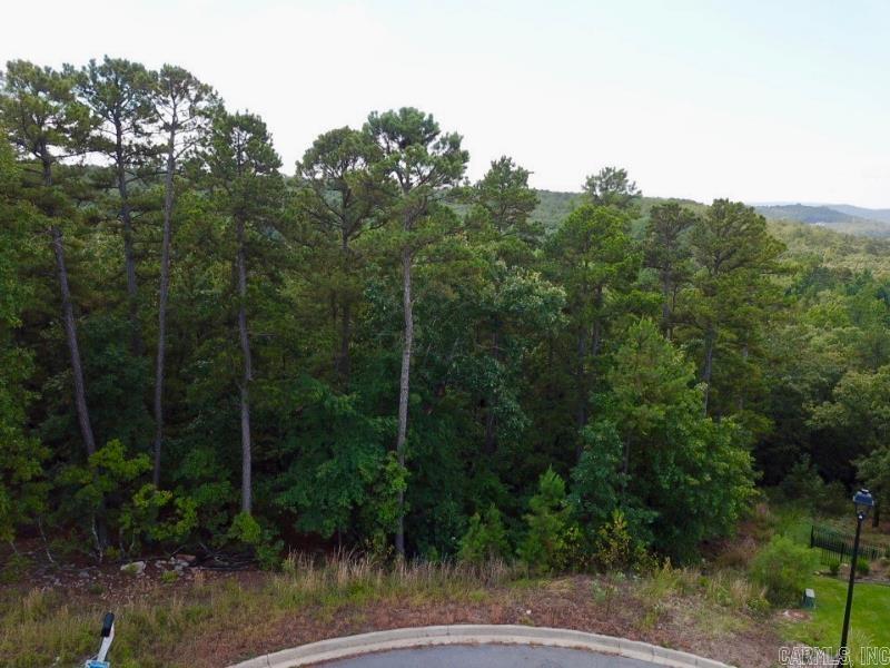 Ridgeview Trails - Land