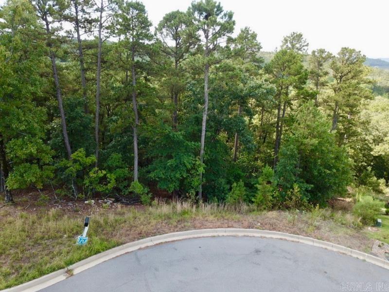 Ridgeview Trails - Land