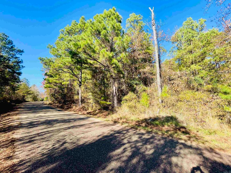 EMBRACE COUNTRY LIFE on this tranquil three acre wooded property!  Perfect location for your dream home - Don't wait - let's go look now!  This RARE find and will not last long!!