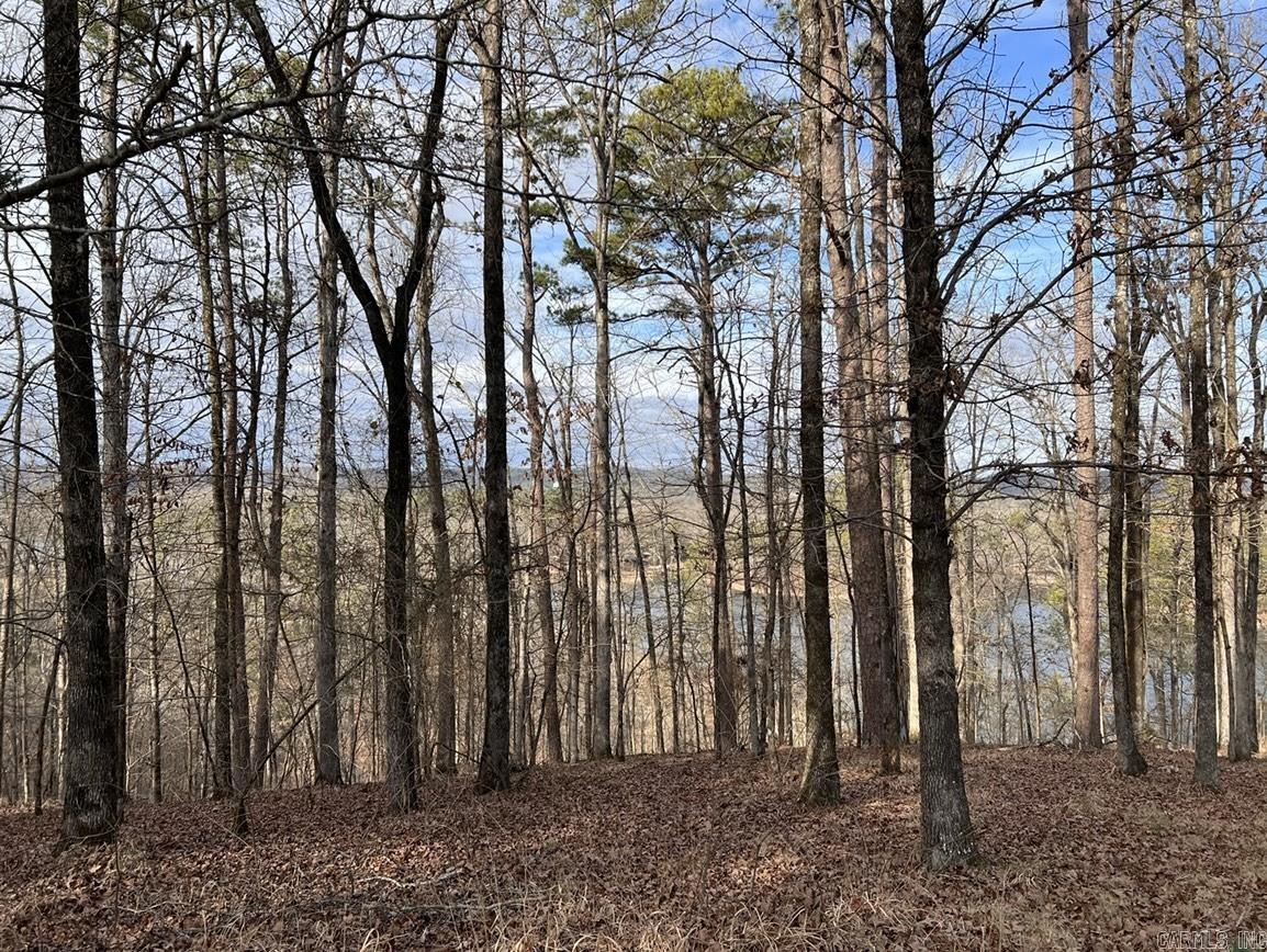 Diamondhead J - Land