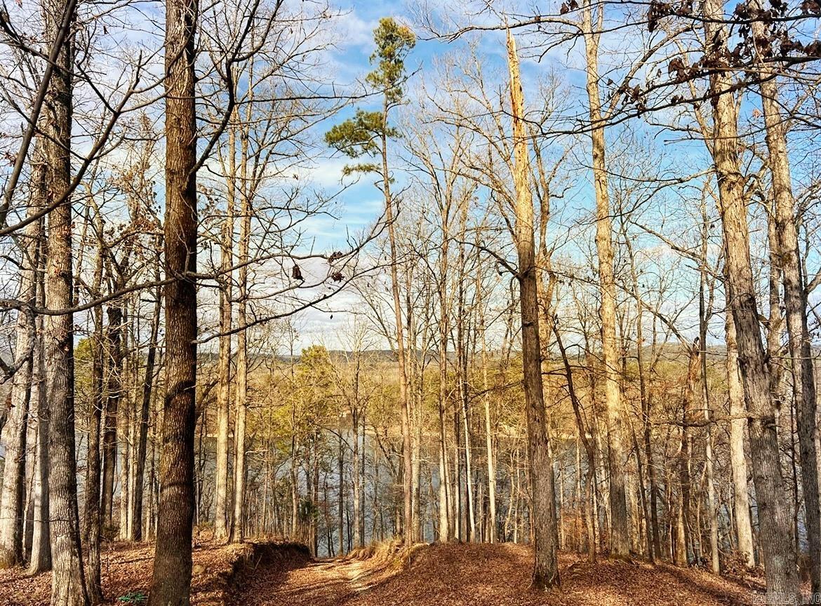 Diamondhead J - Land