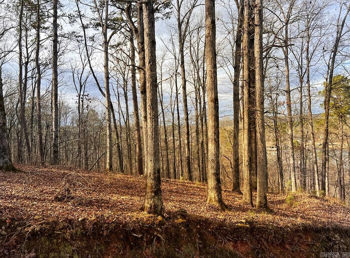 Diamondhead J - Land