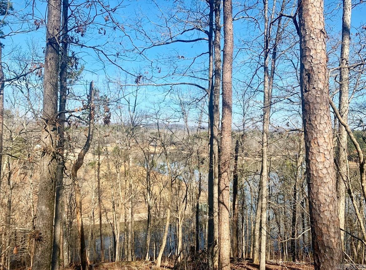 Diamondhead J - Land