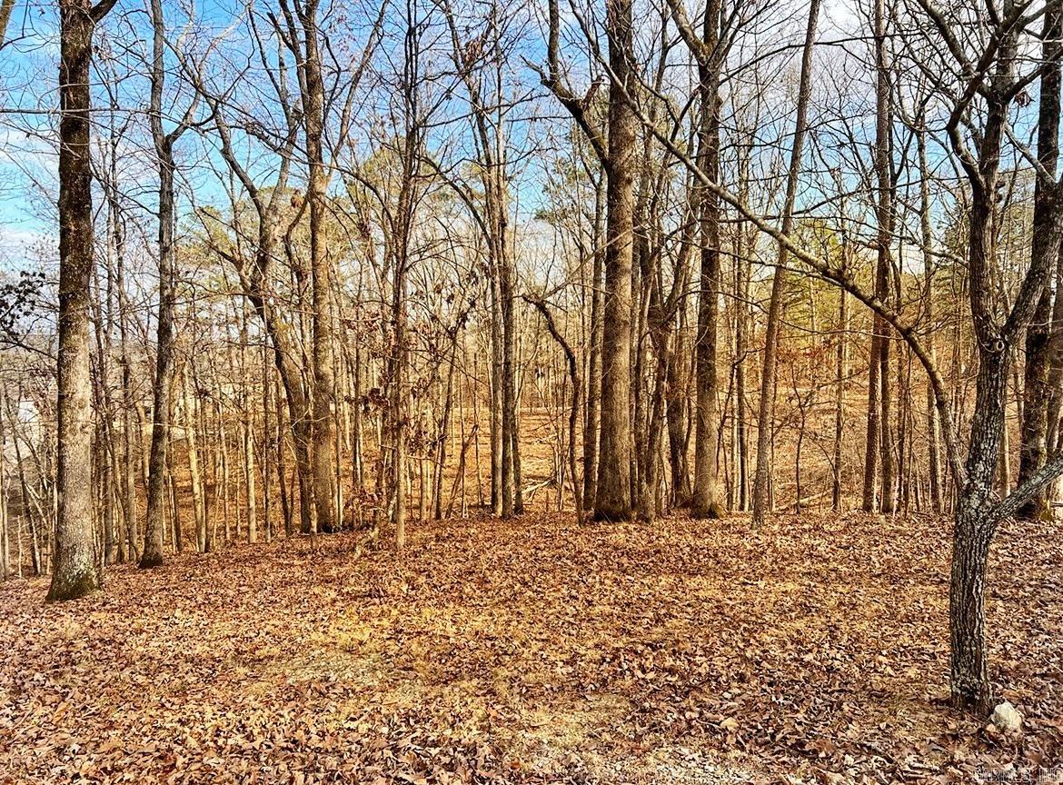 Diamondhead J - Land