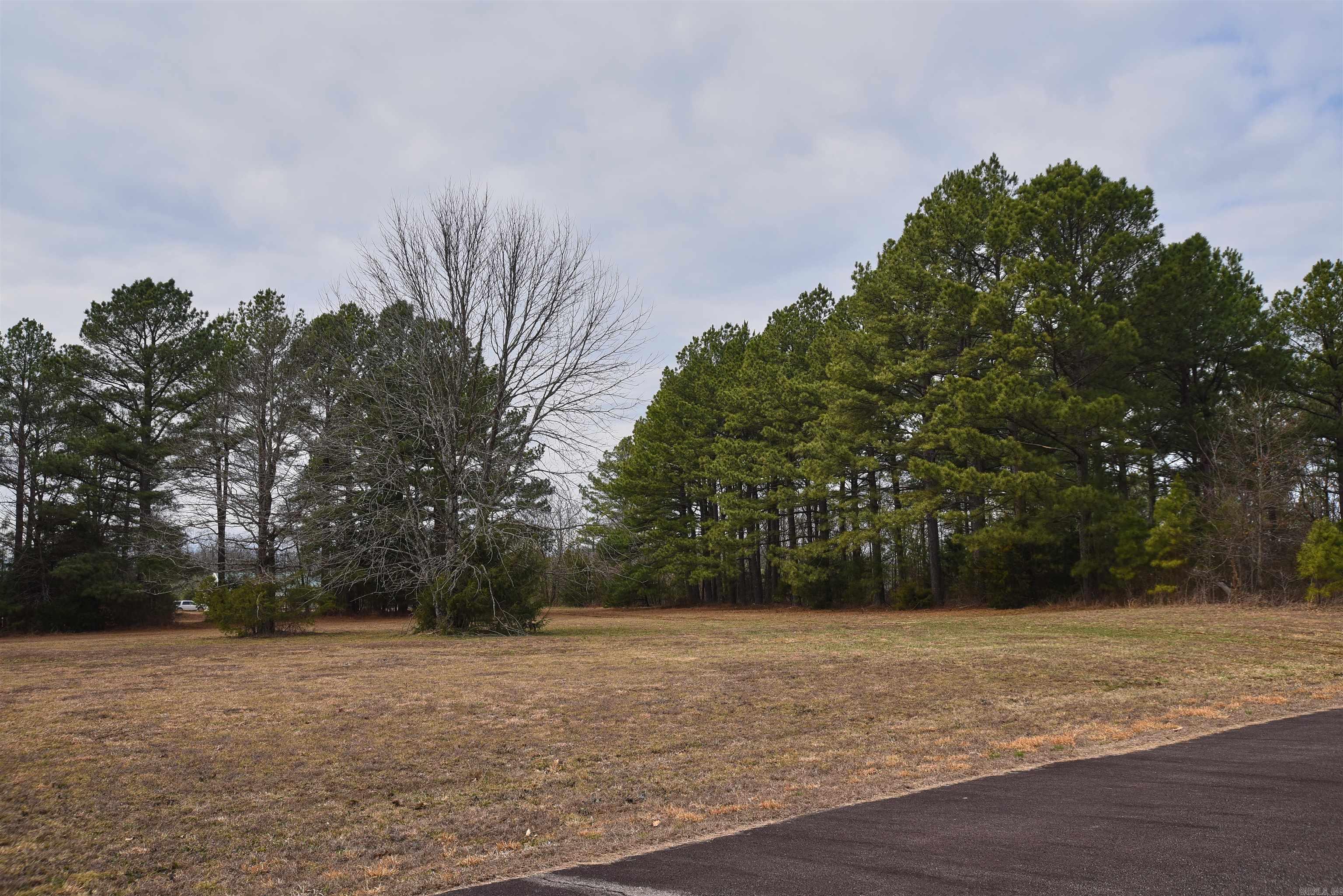 Holley Mountain Airpark - Land