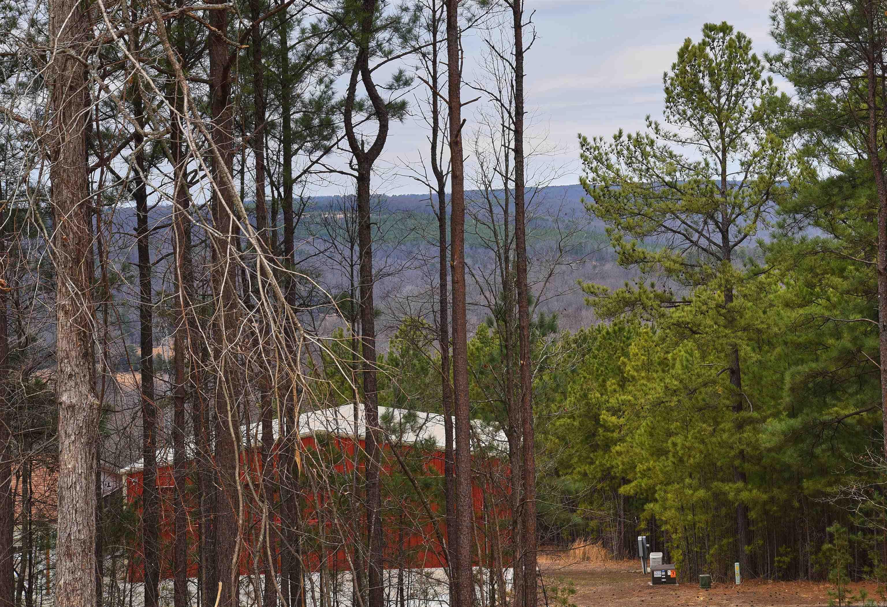 Holley Mountain Airpark - Land