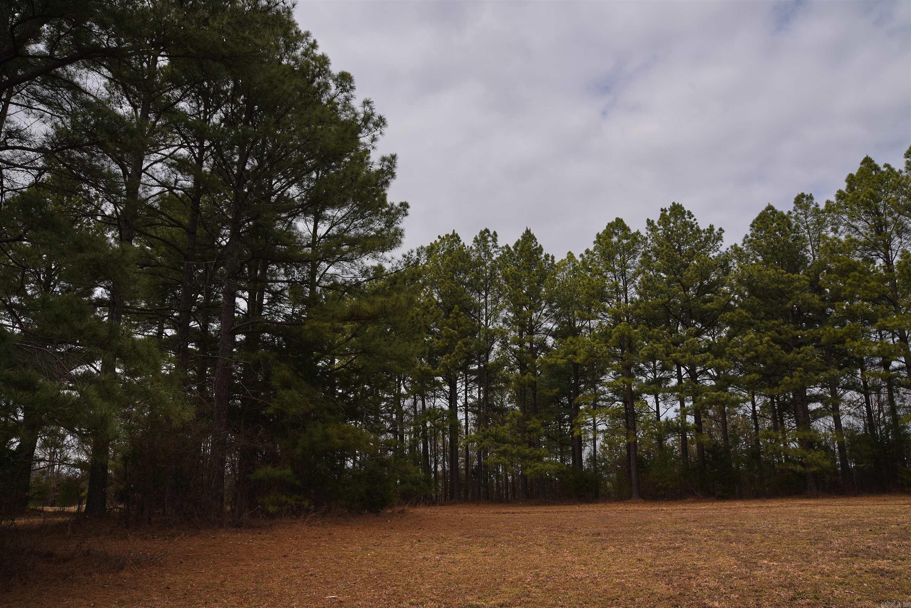 Holley Mountain Airpark - Land