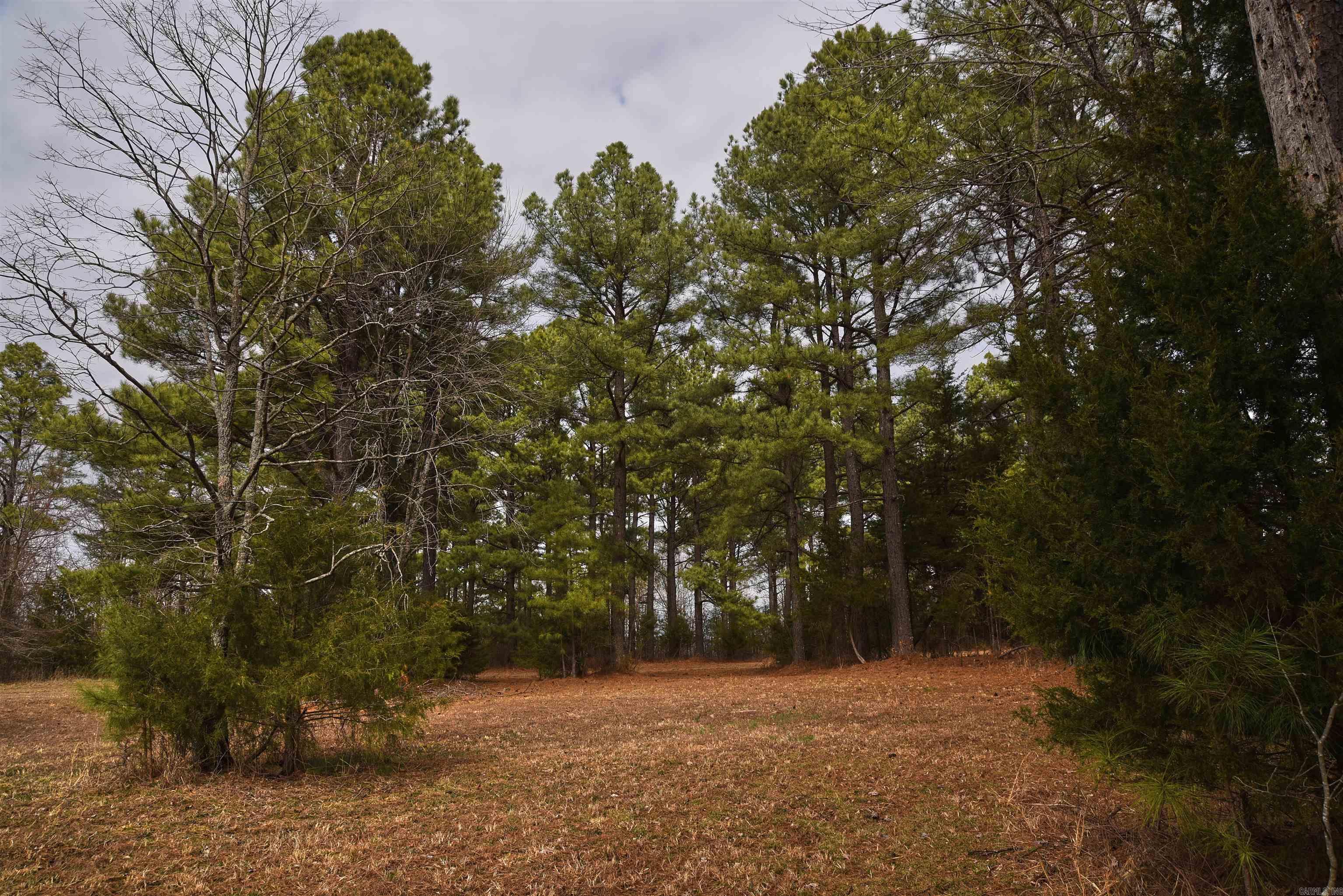 Holley Mountain Airpark - Land