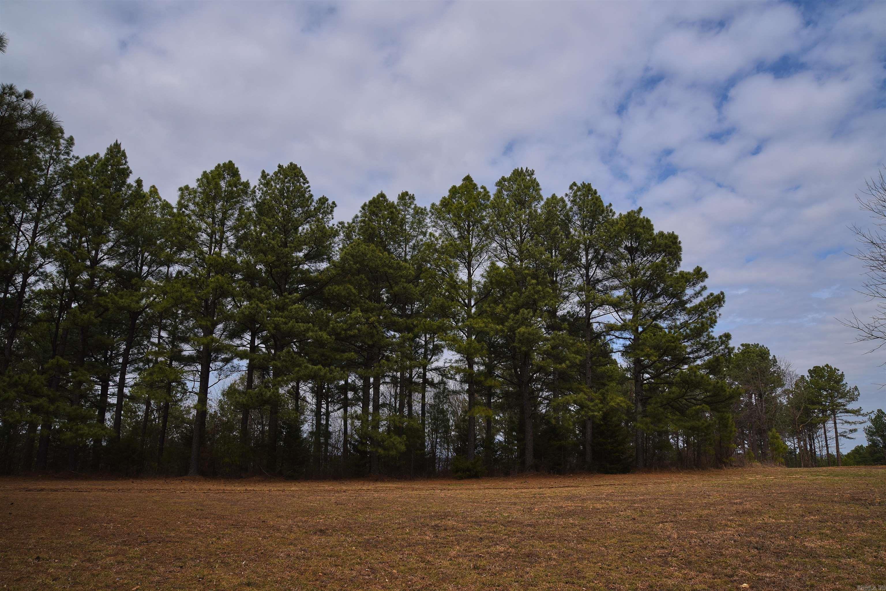 Holley Mountain Airpark - Land