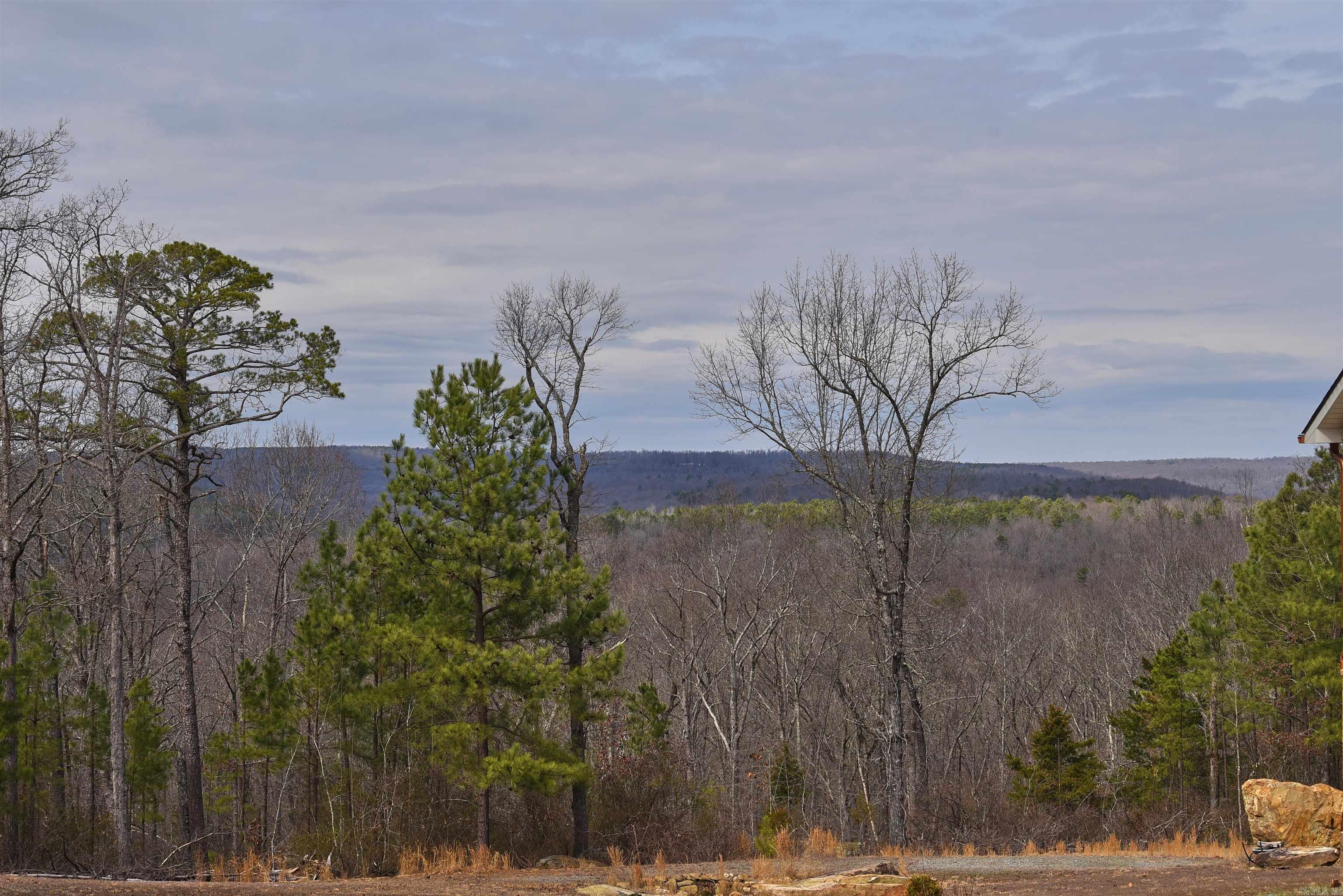 Holley Mountain Airpark - Land