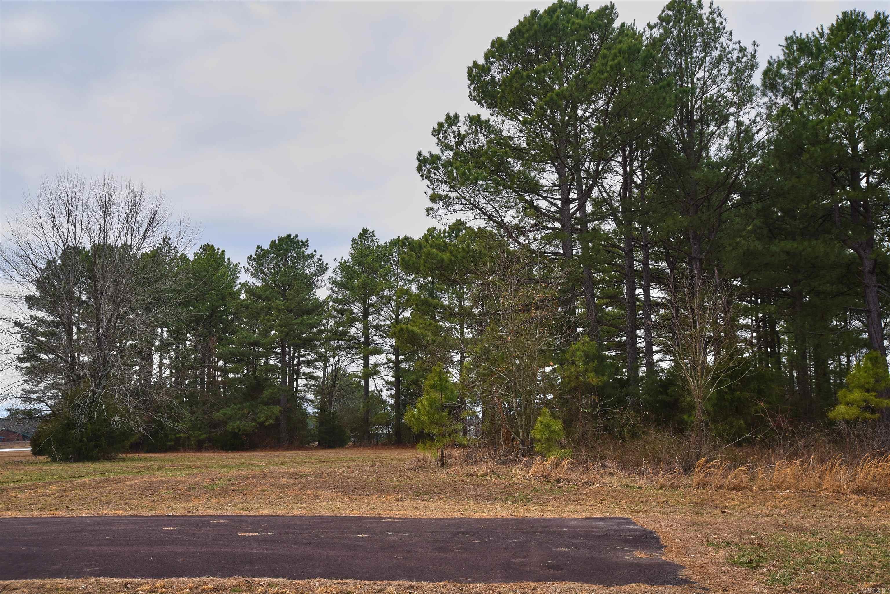 Holley Mountain Airpark - Land