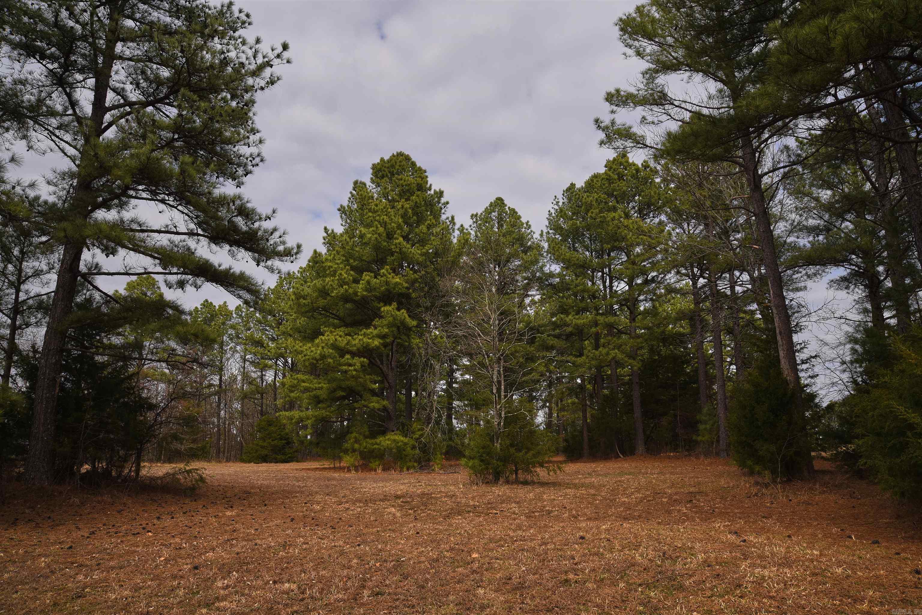 Holley Mountain Airpark - Land