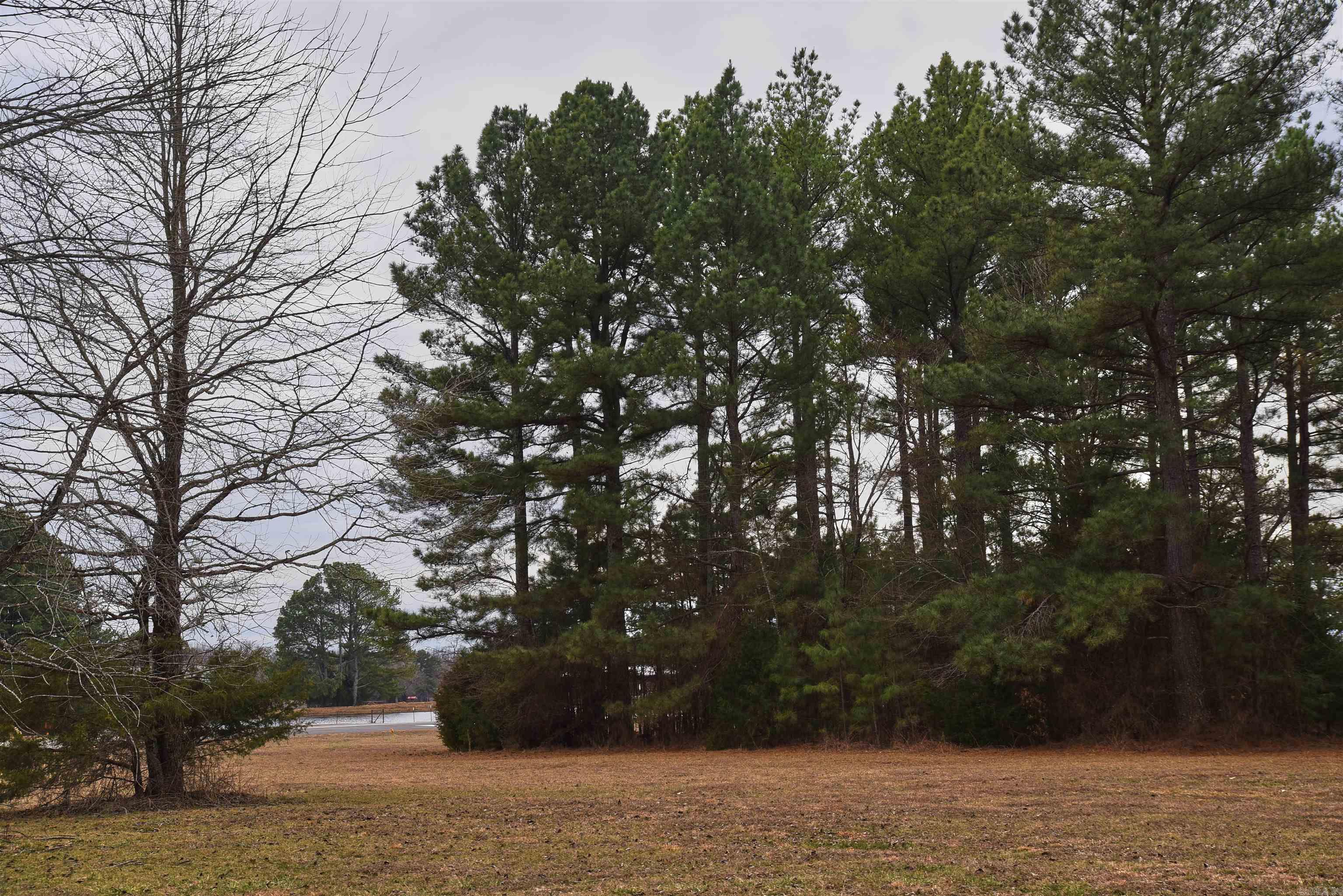 Holley Mountain Airpark - Land