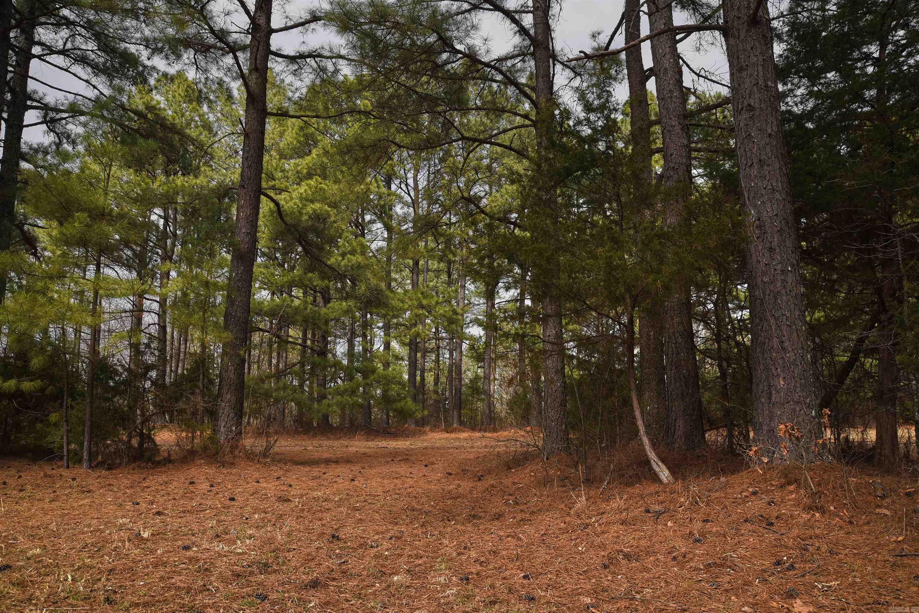 Holley Mountain Airpark - Land