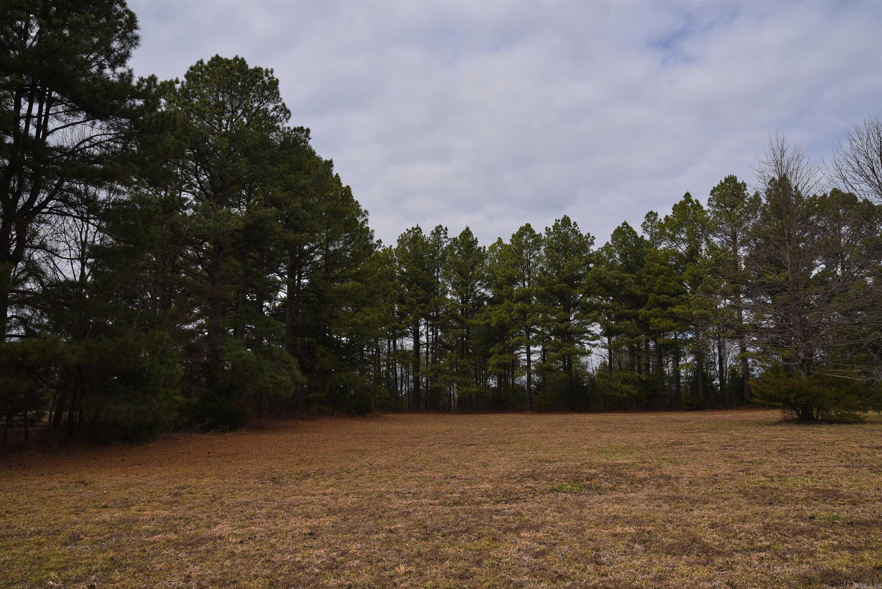 Holley Mountain Airpark - Land