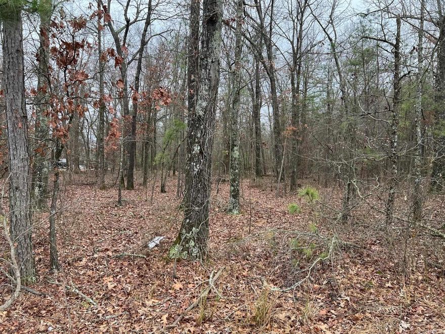 9.97 acres +/- of wooded timber land Property has nice subdivisions on either side of it. Could be used for development or large private home site for a family. Owner will owner finance and is negotiable. Make a offer