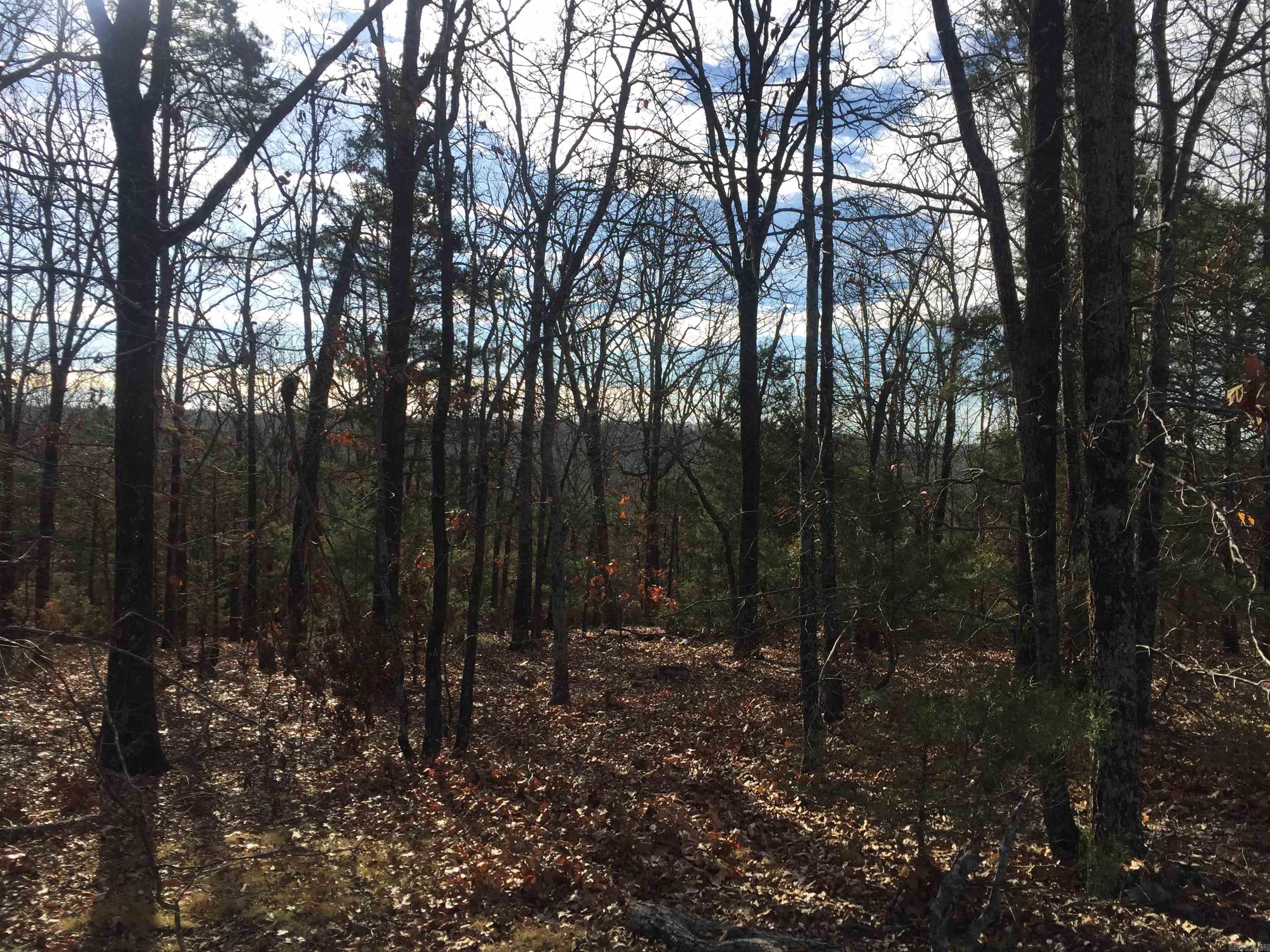 Wooded lot with power and water but no meters are installed yet on Direct