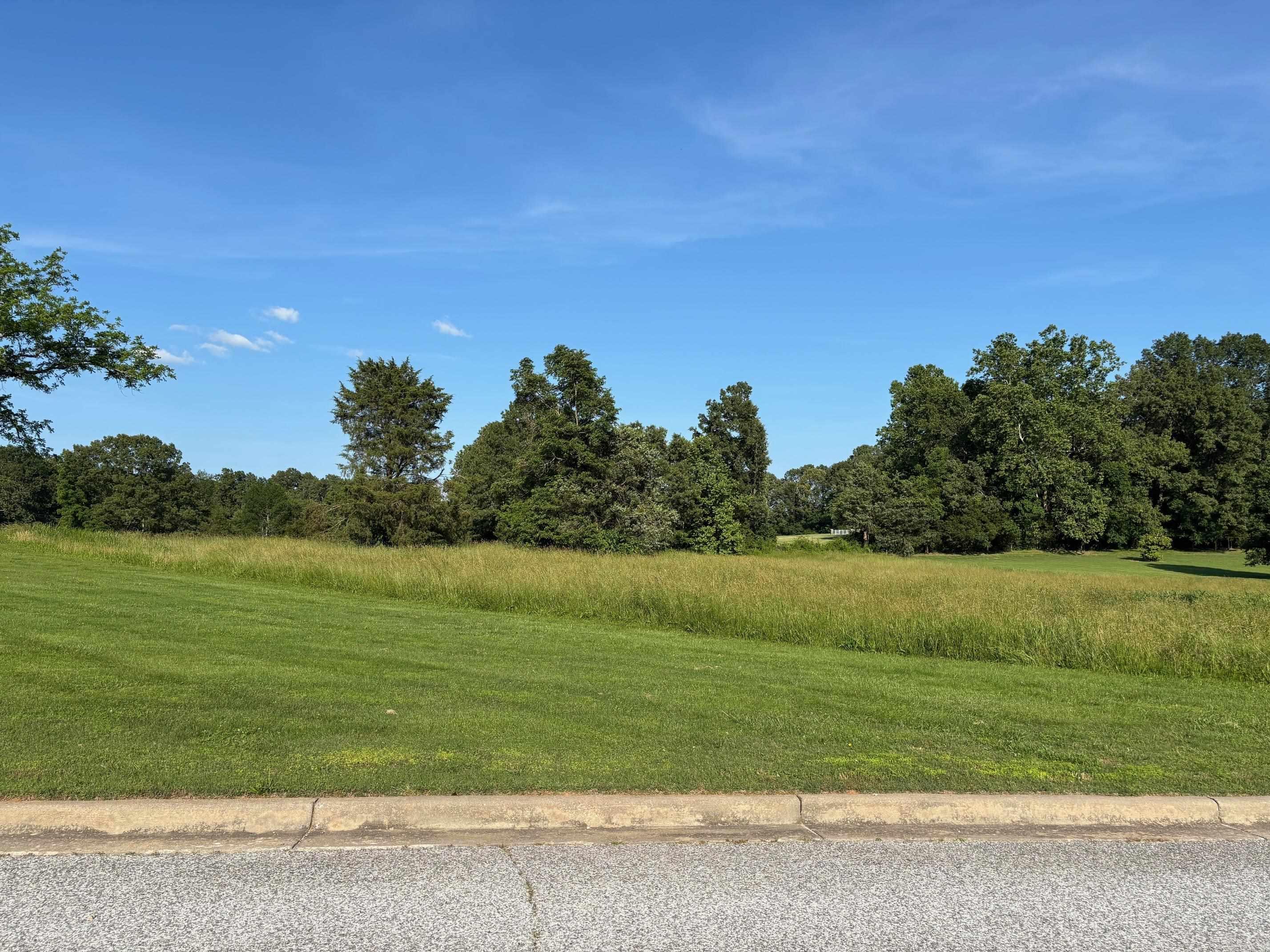 Check out this beautiful building lot in one of North Arkansas' most exclusive neighborhoods. Centrally located to most of the Northern Ozark attractions, this lot will provide the perfect canvas on which to build your dream home. Within 45 minutes of Bull Shoals, Taneycomo, and Table Rock Lake, White River, and Buffalo Rivers. Just West of Harrison AR, and only 35 minutes South of Branson MO.